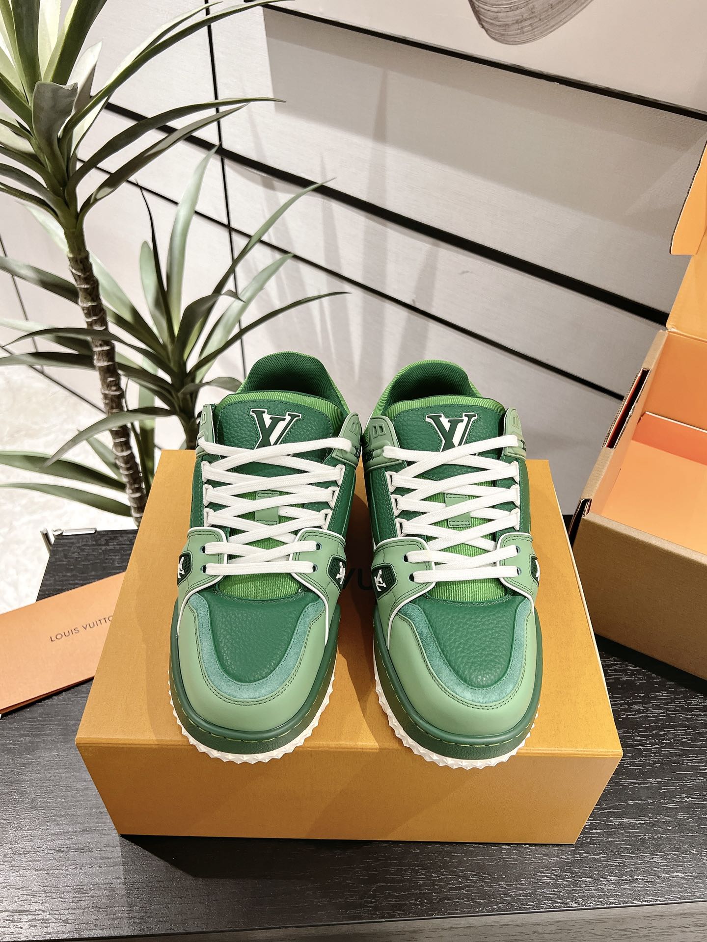 Louis Vuitton Male Basic Shoes L