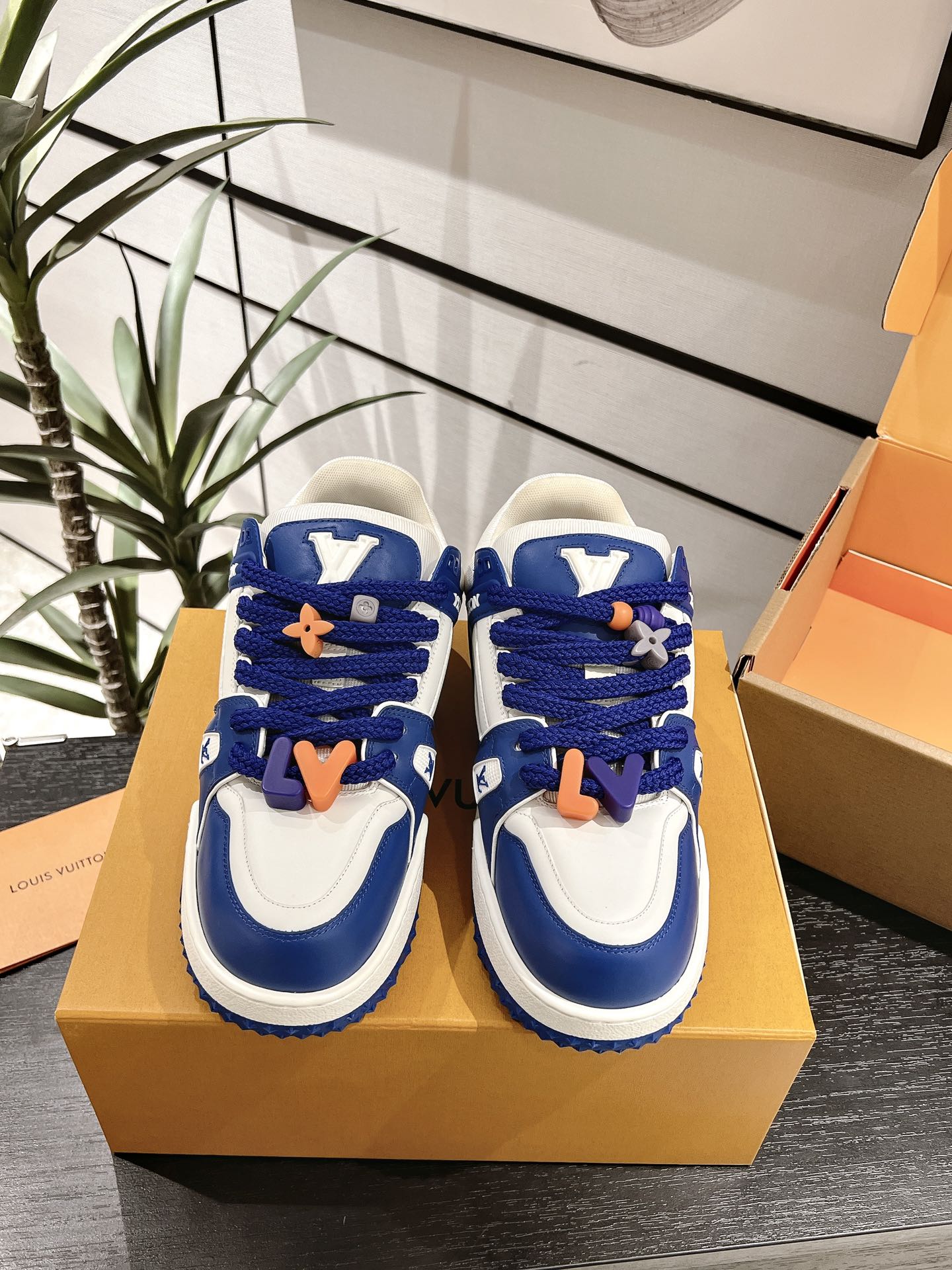 Louis Vuitton Male Basic Shoes L