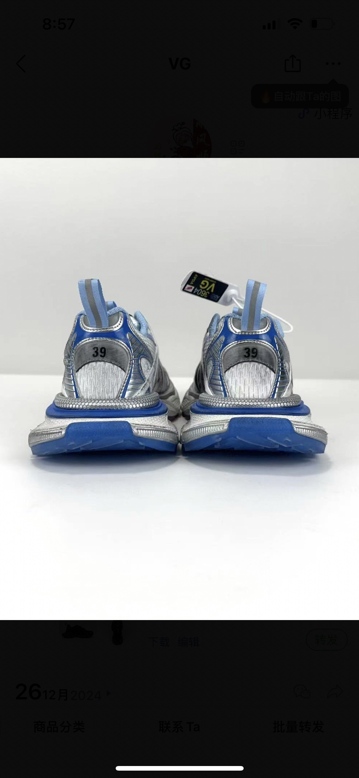 Balenciaga Basic Shoes L-s-xl