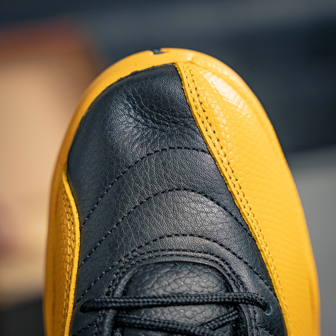 Jordan Nike Basic Shoes Black M-l