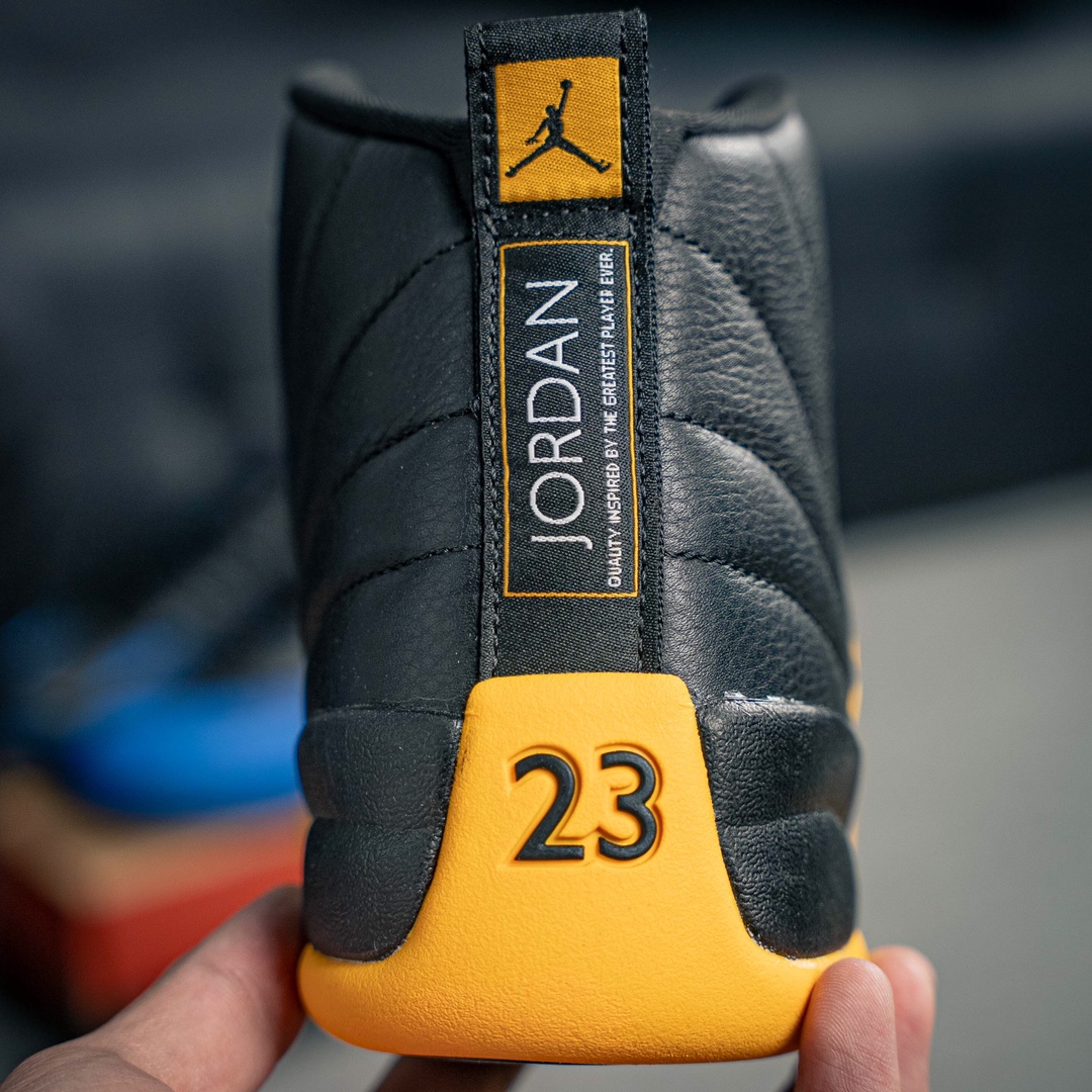 Jordan Nike Basic Shoes Black M-l