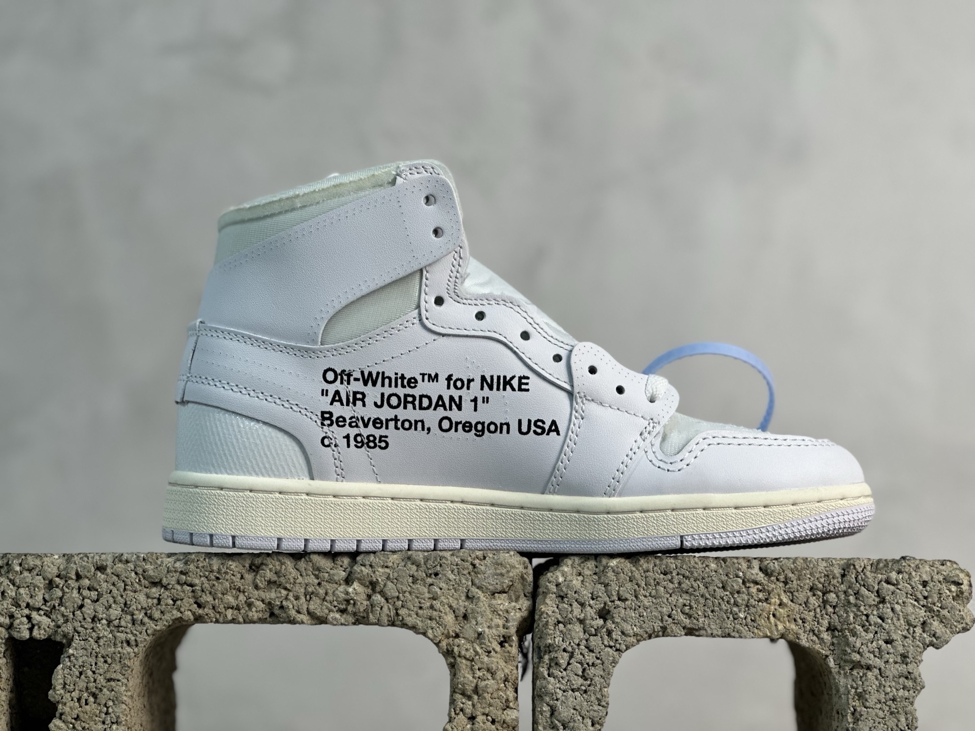 Jordan Nike Basic Shoes