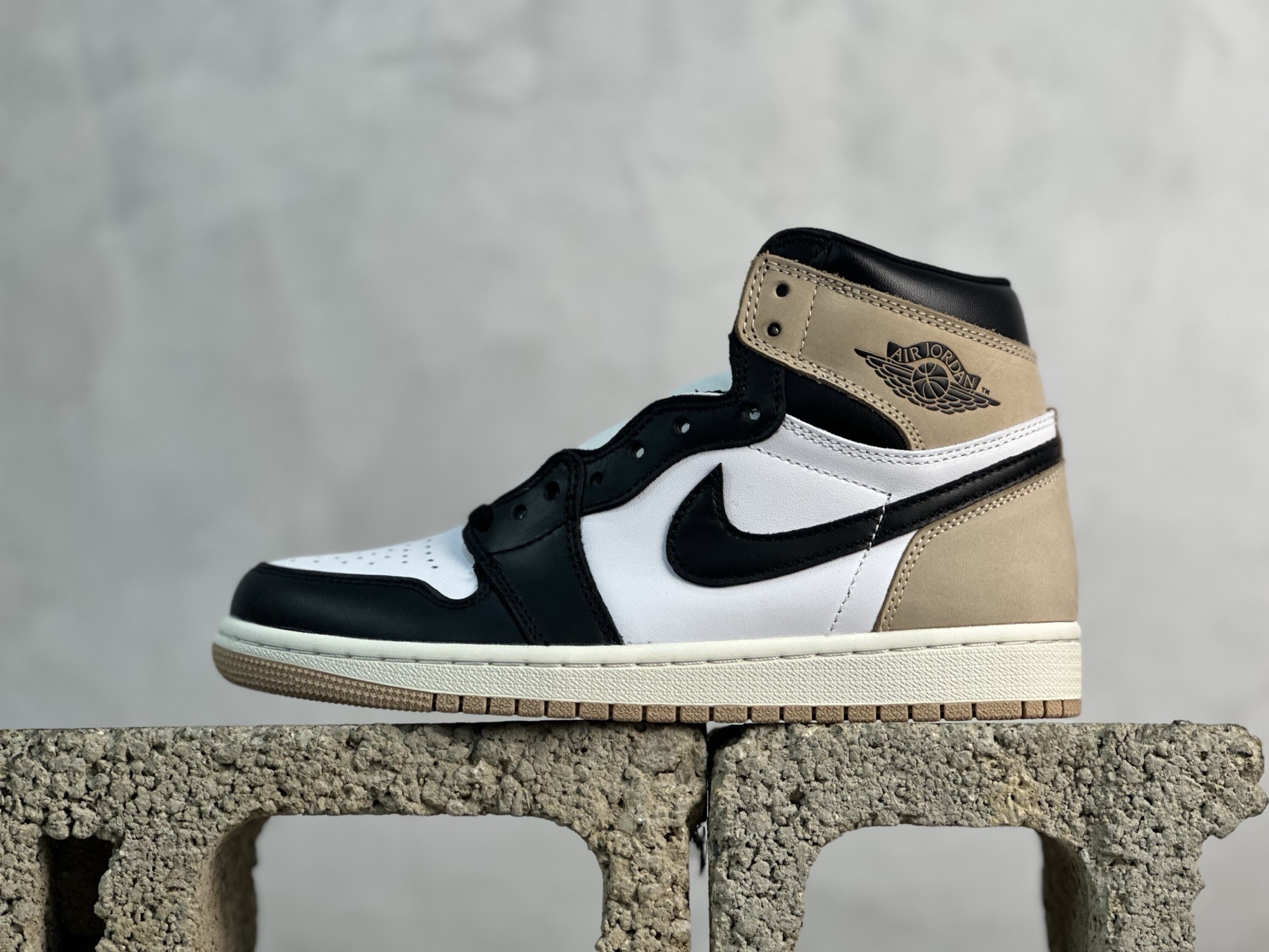 Jordan Nike Basic Shoes