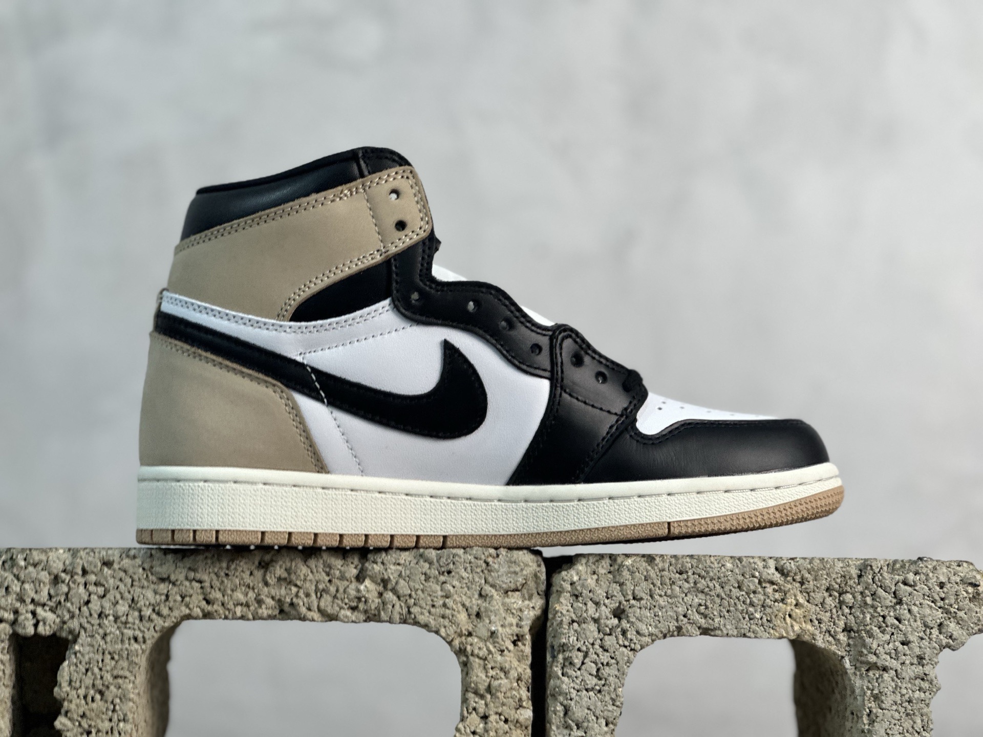 Jordan Nike Basic Shoes