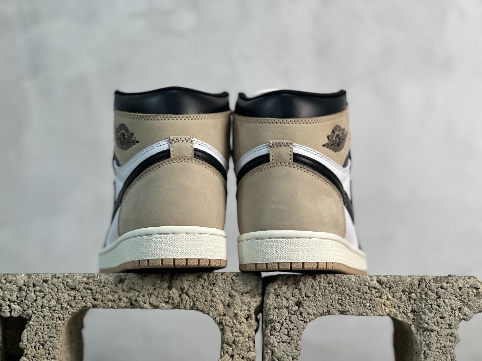 Jordan Nike Basic Shoes