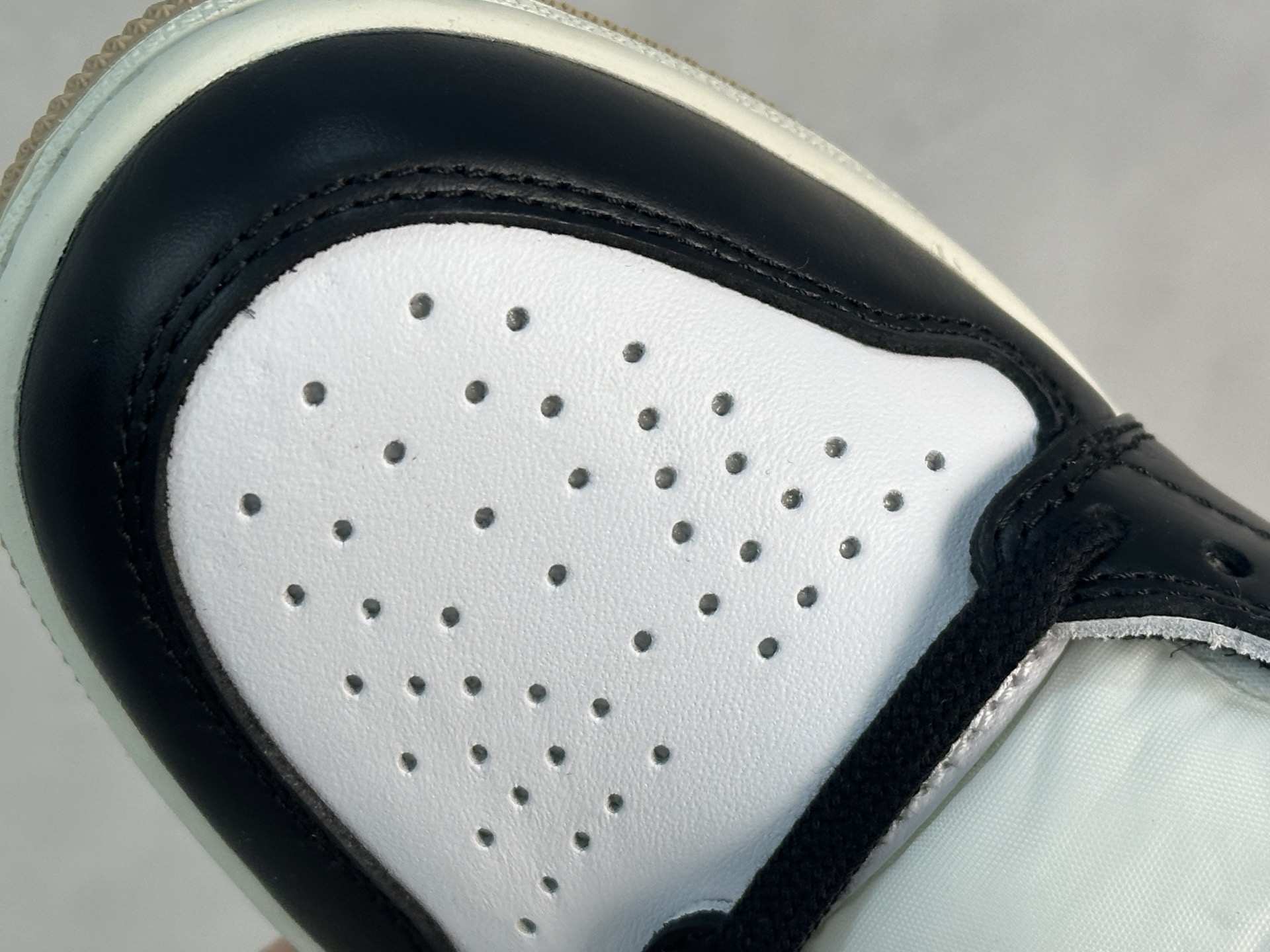 Jordan Nike Basic Shoes