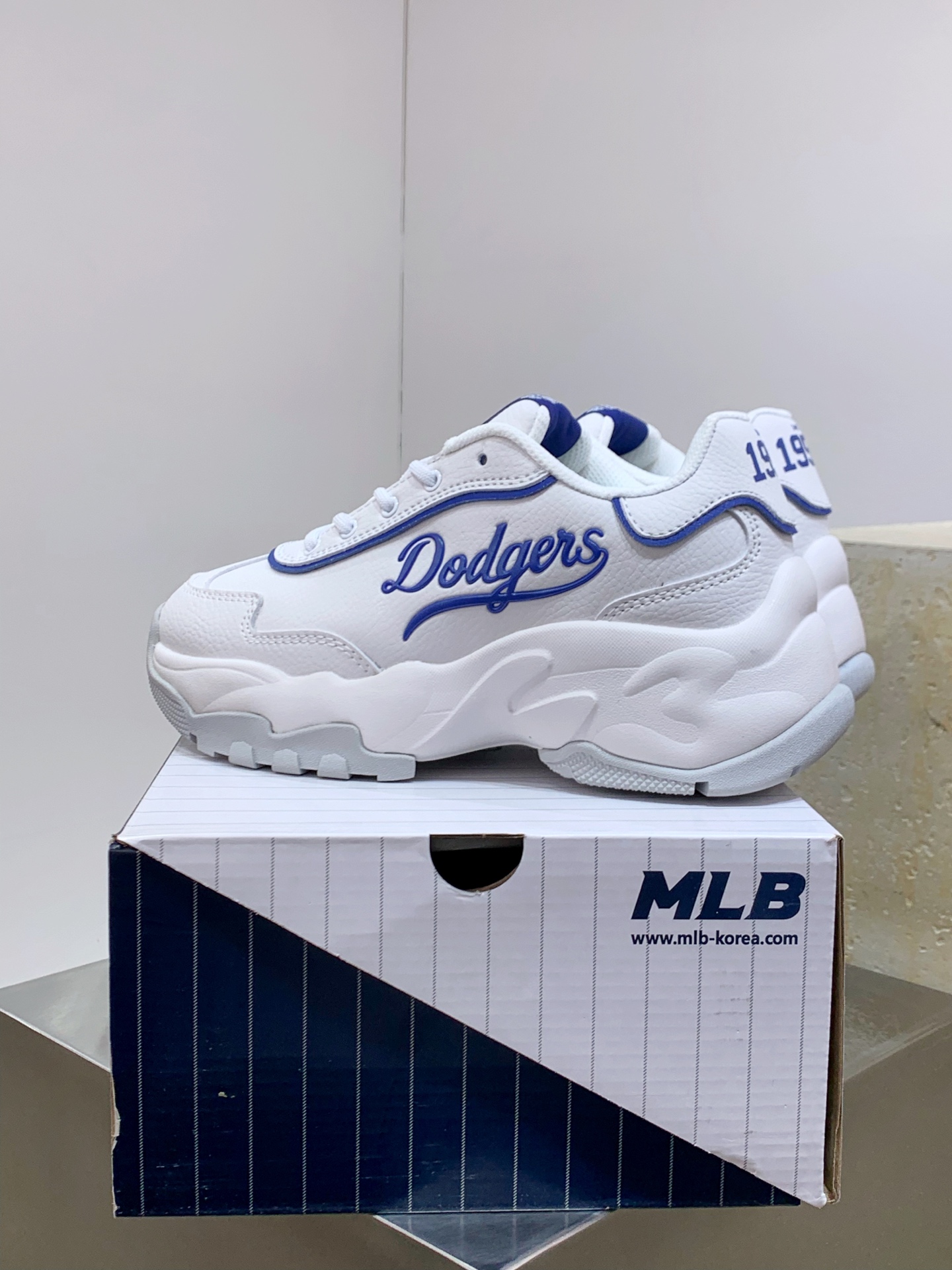 Nike Basic Shoes M-l