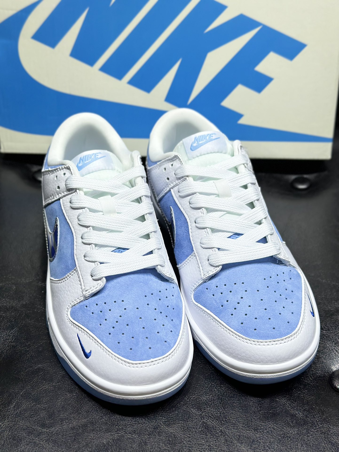 Dior Nike Board Shoes L