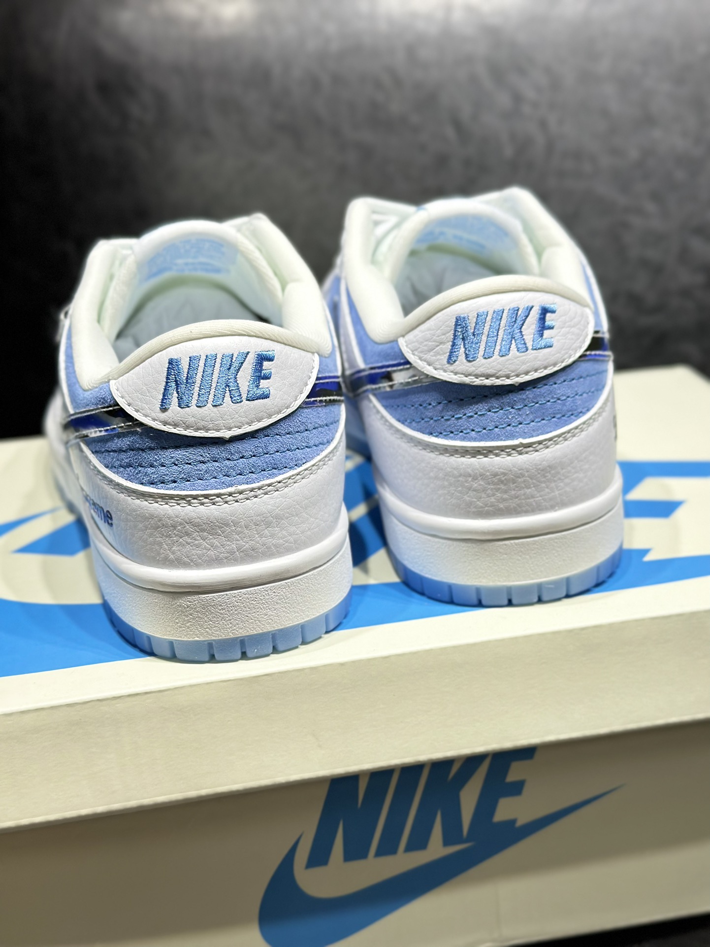 Dior Nike Board Shoes L