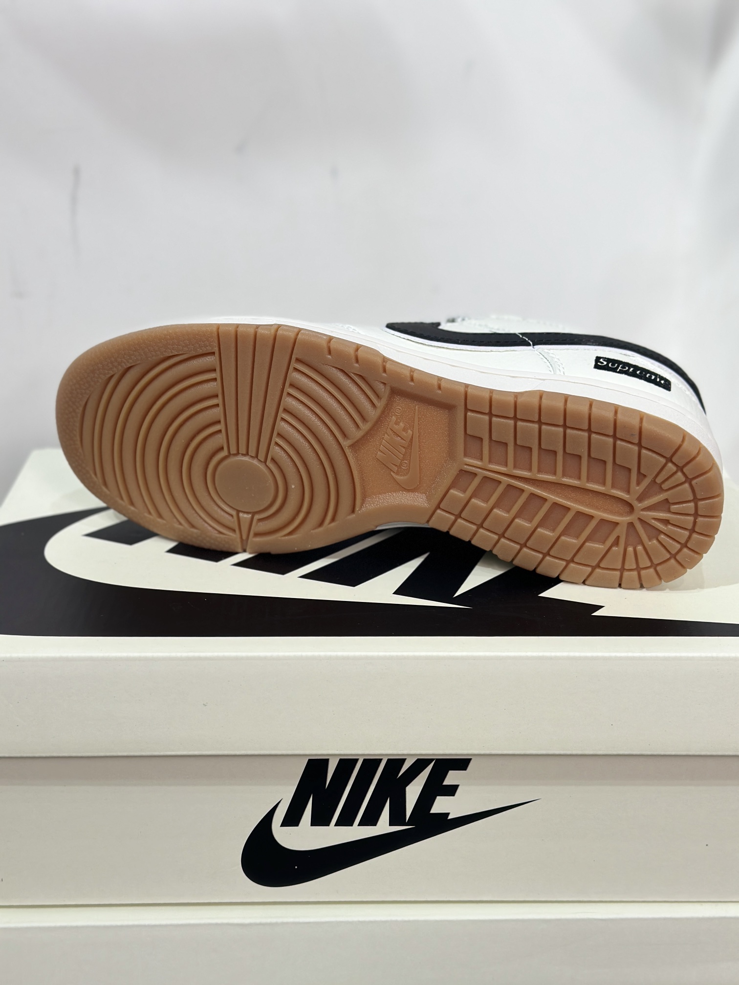 Dior Nike Board Shoes L