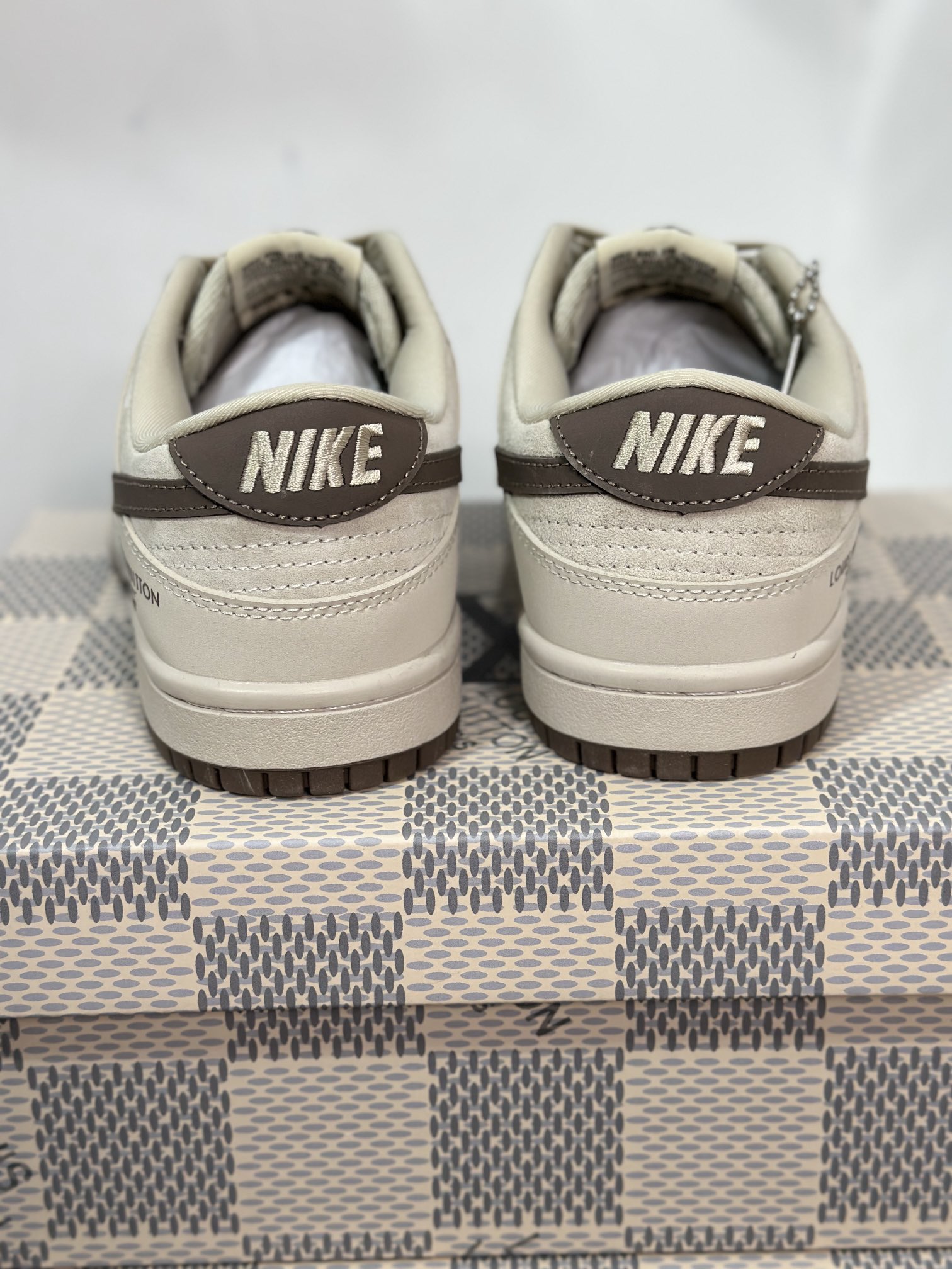 Dior Nike Board Shoes L