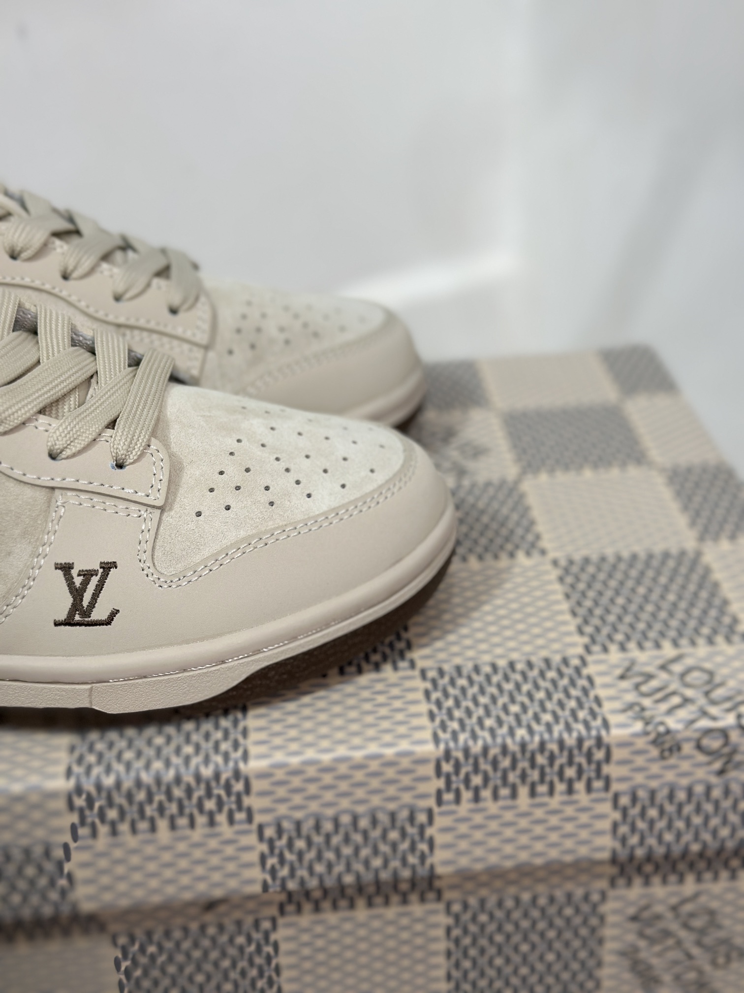 Dior Nike Board Shoes L