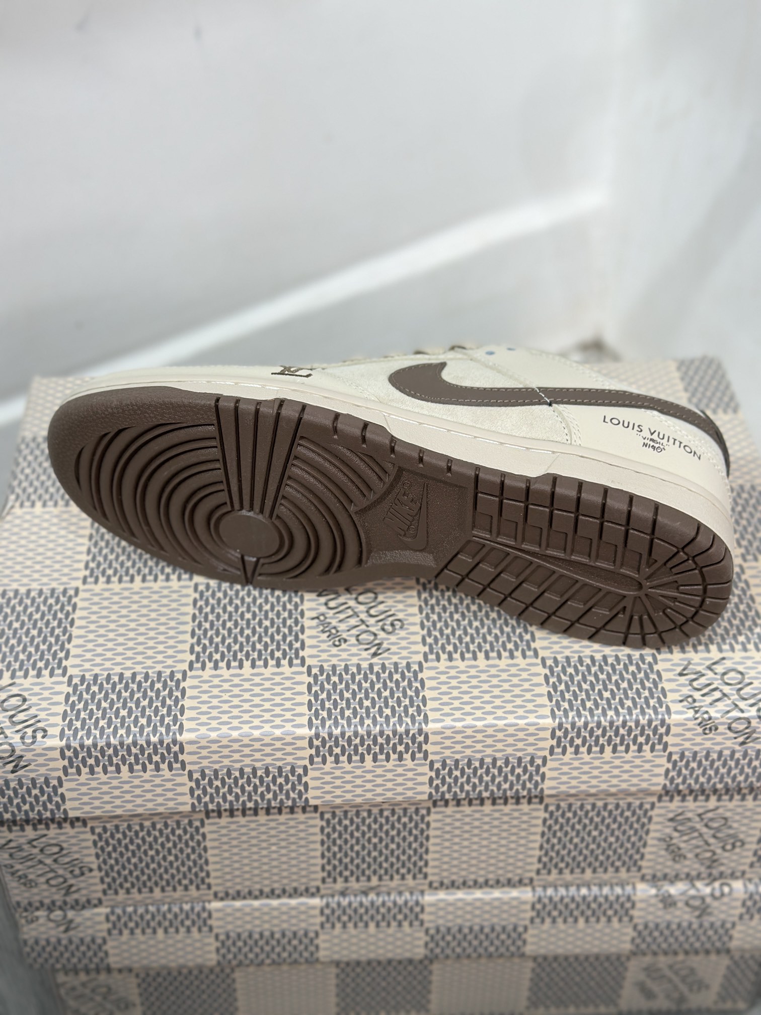 Dior Nike Board Shoes L