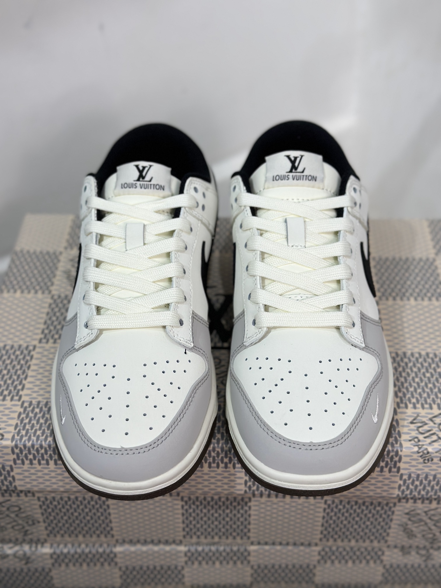 Dior Nike Board Shoes L