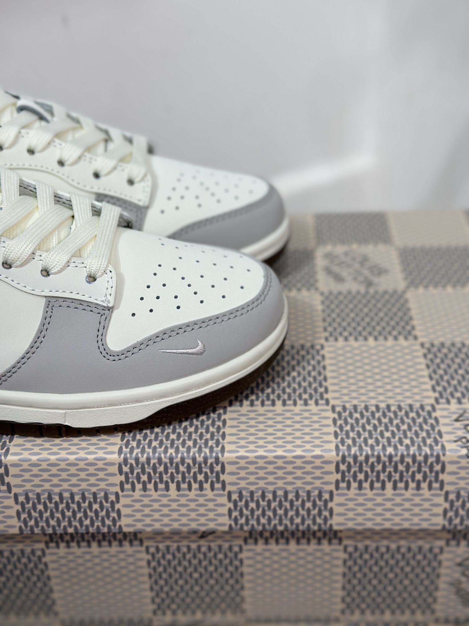 Dior Nike Board Shoes L