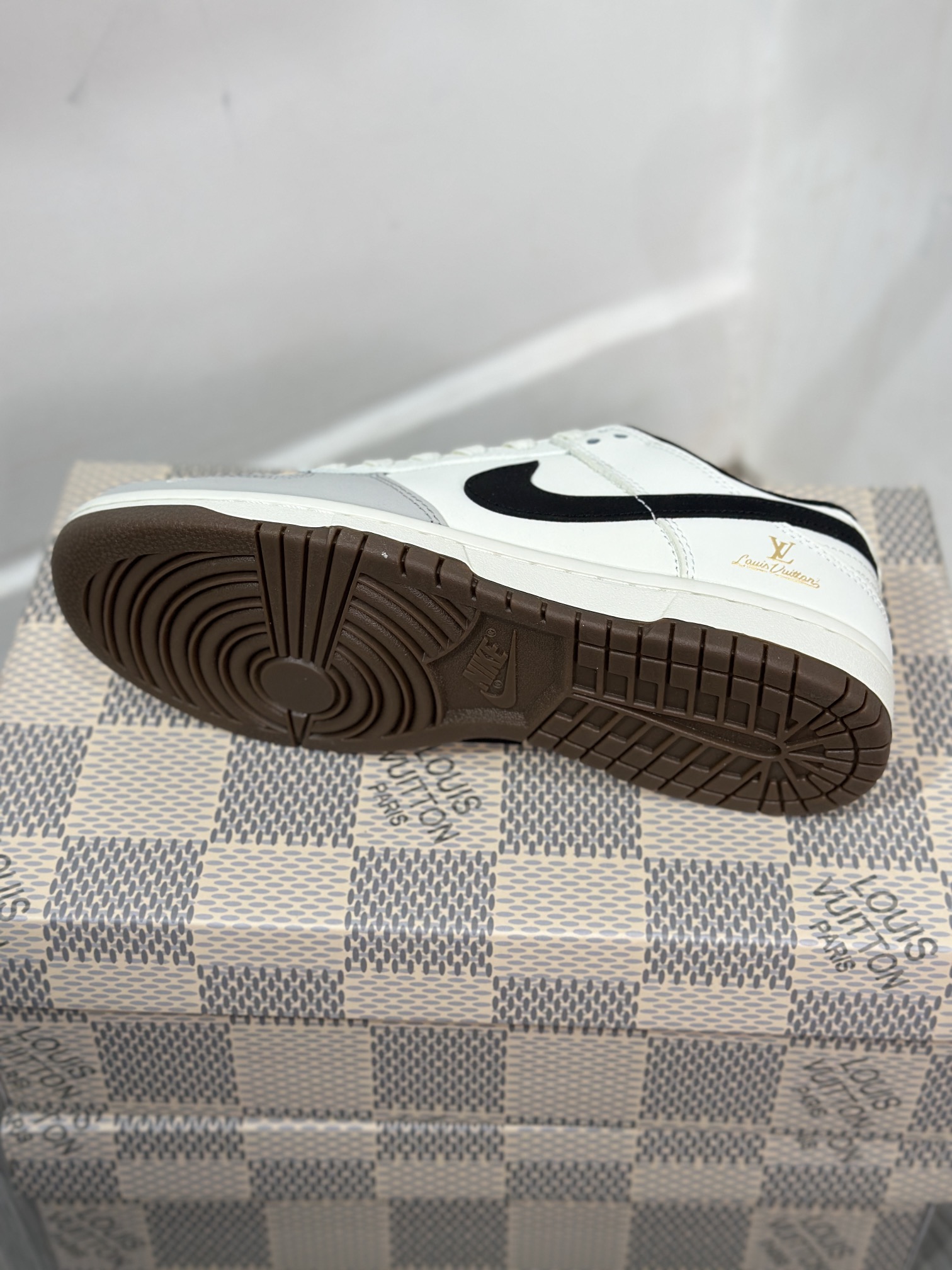 Dior Nike Board Shoes L