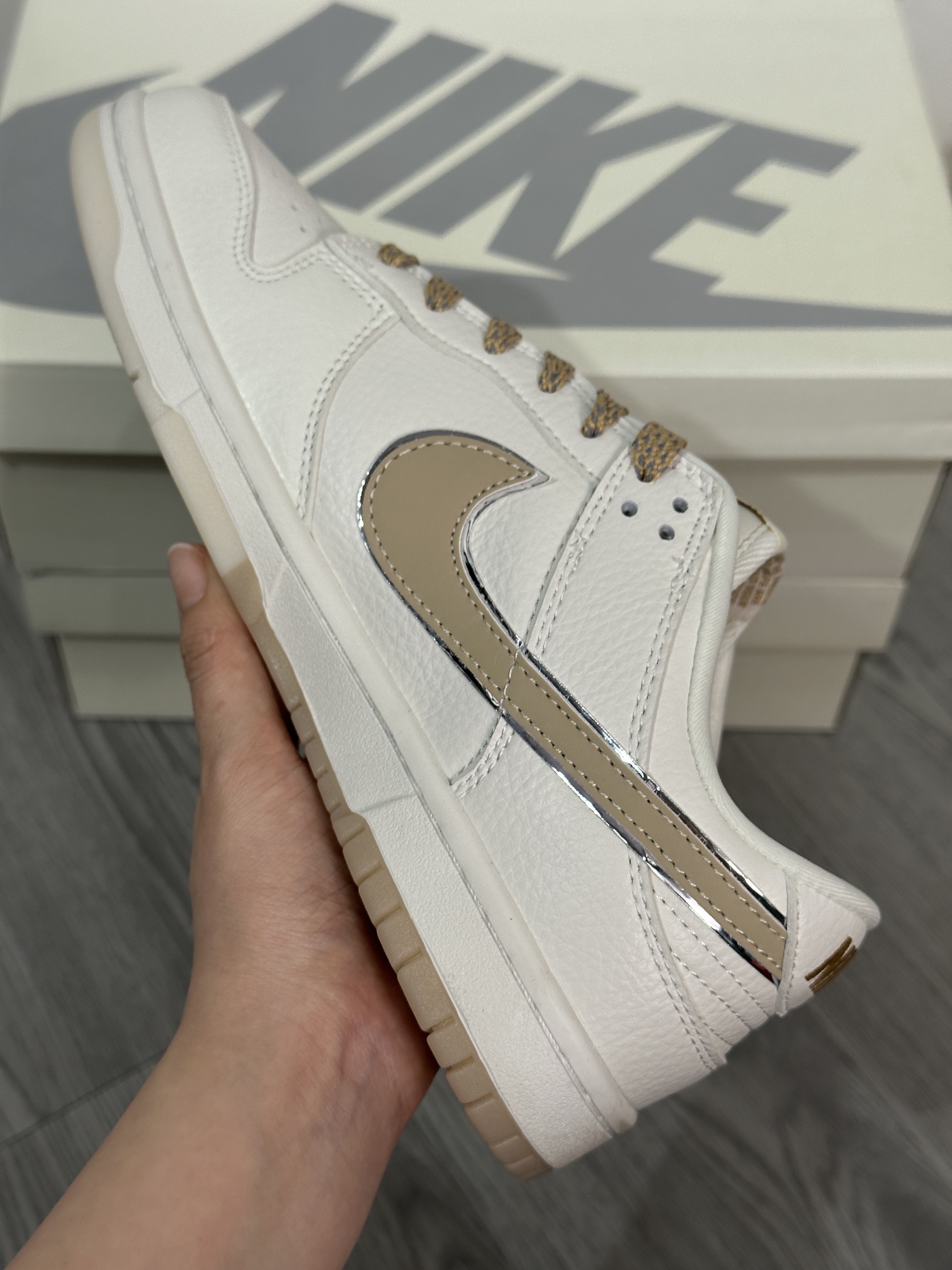 Dior Nike Board Shoes L