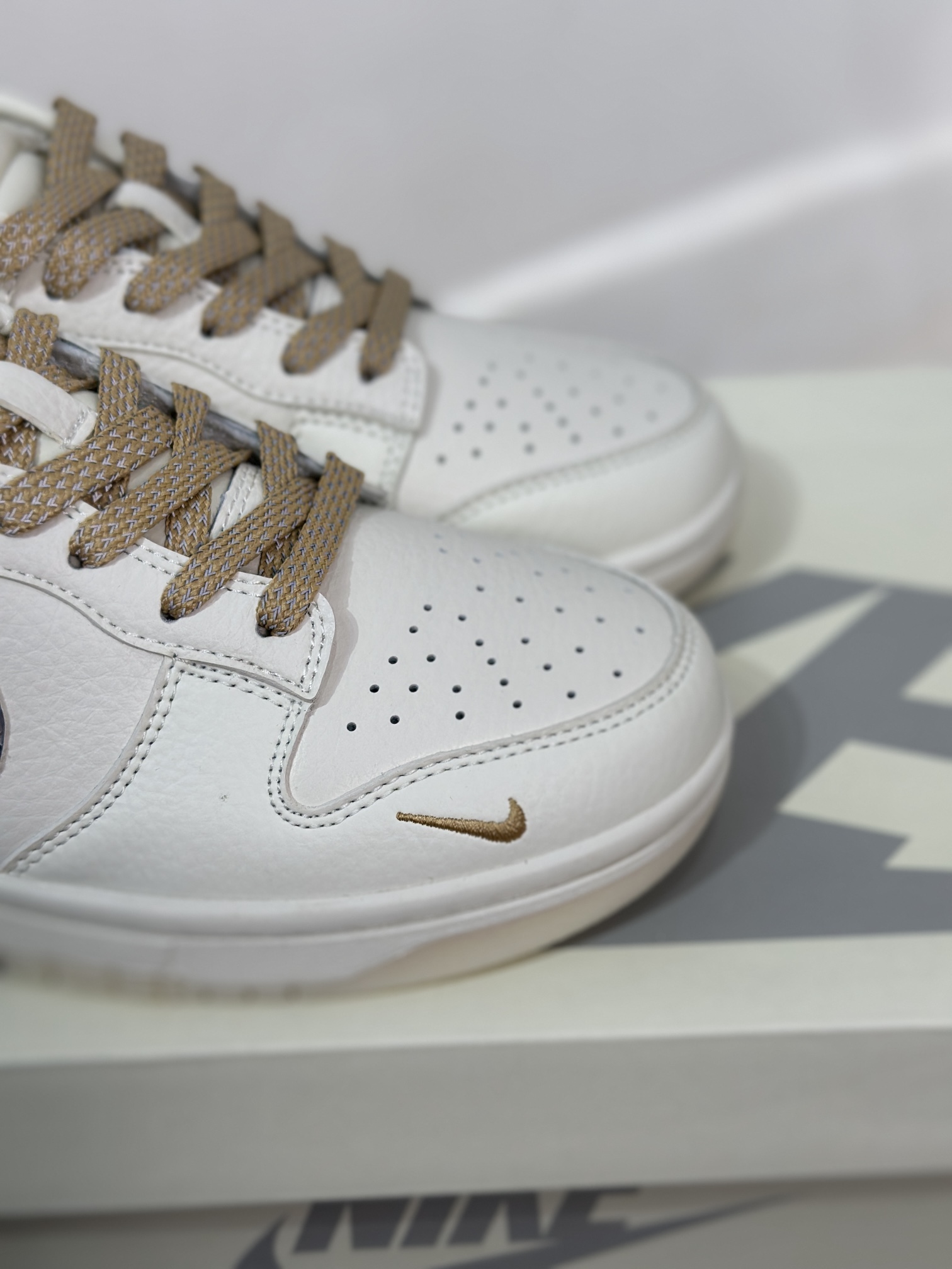 Dior Nike Board Shoes L