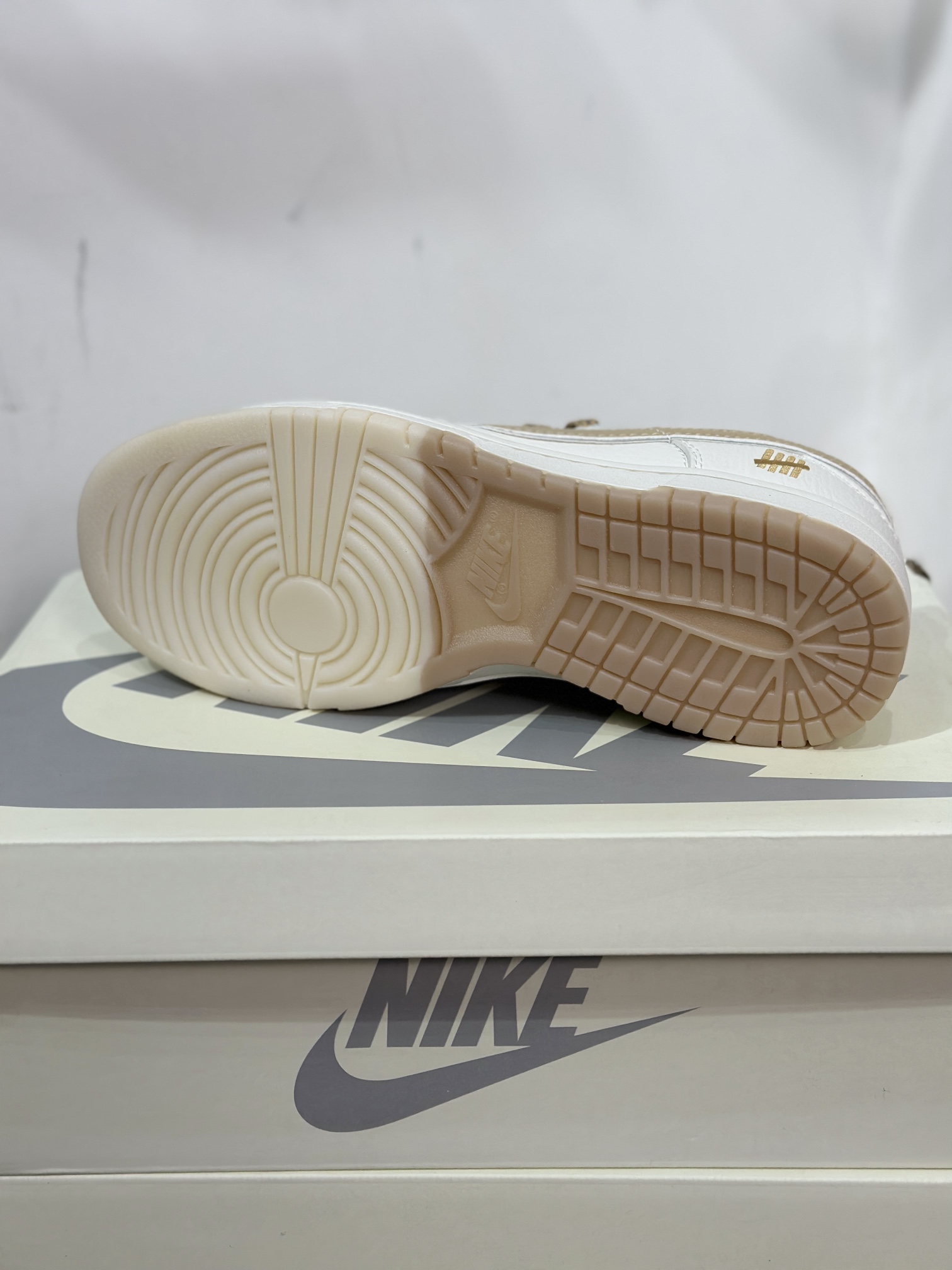 Dior Nike Board Shoes L