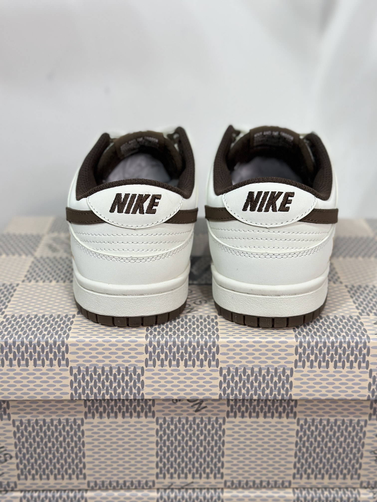 Dior Nike Board Shoes L