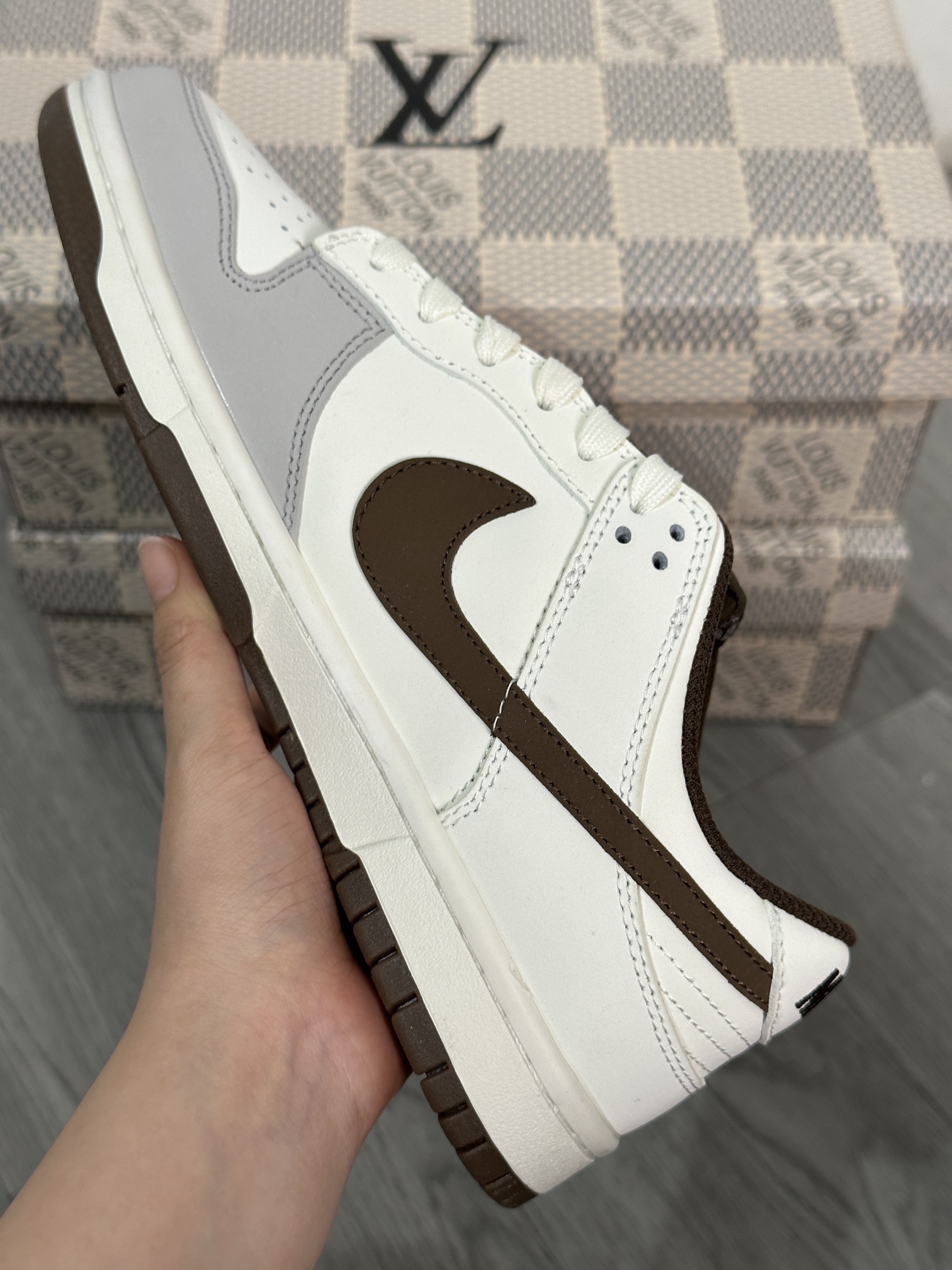 Dior Nike Board Shoes L