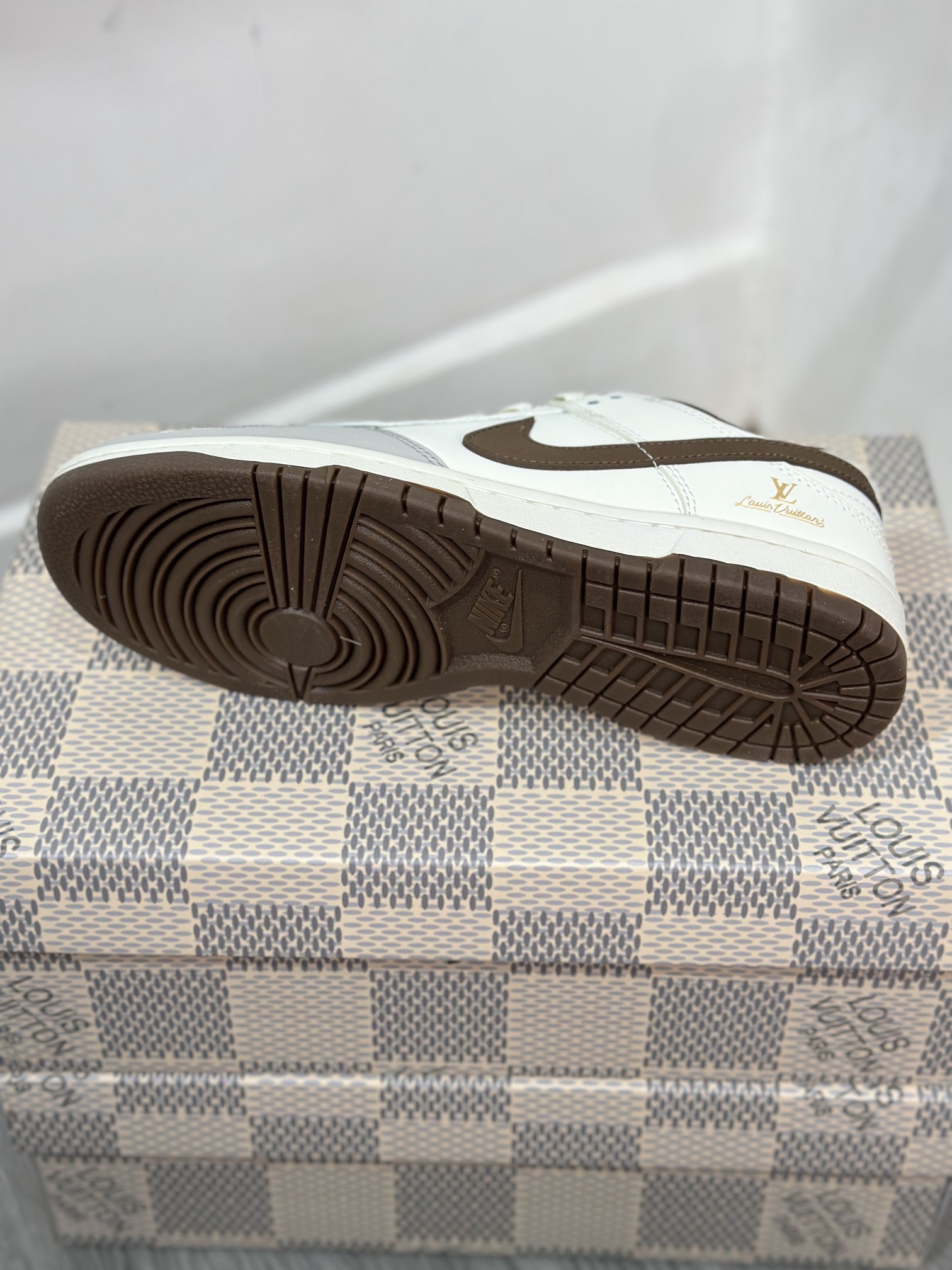 Dior Nike Board Shoes L