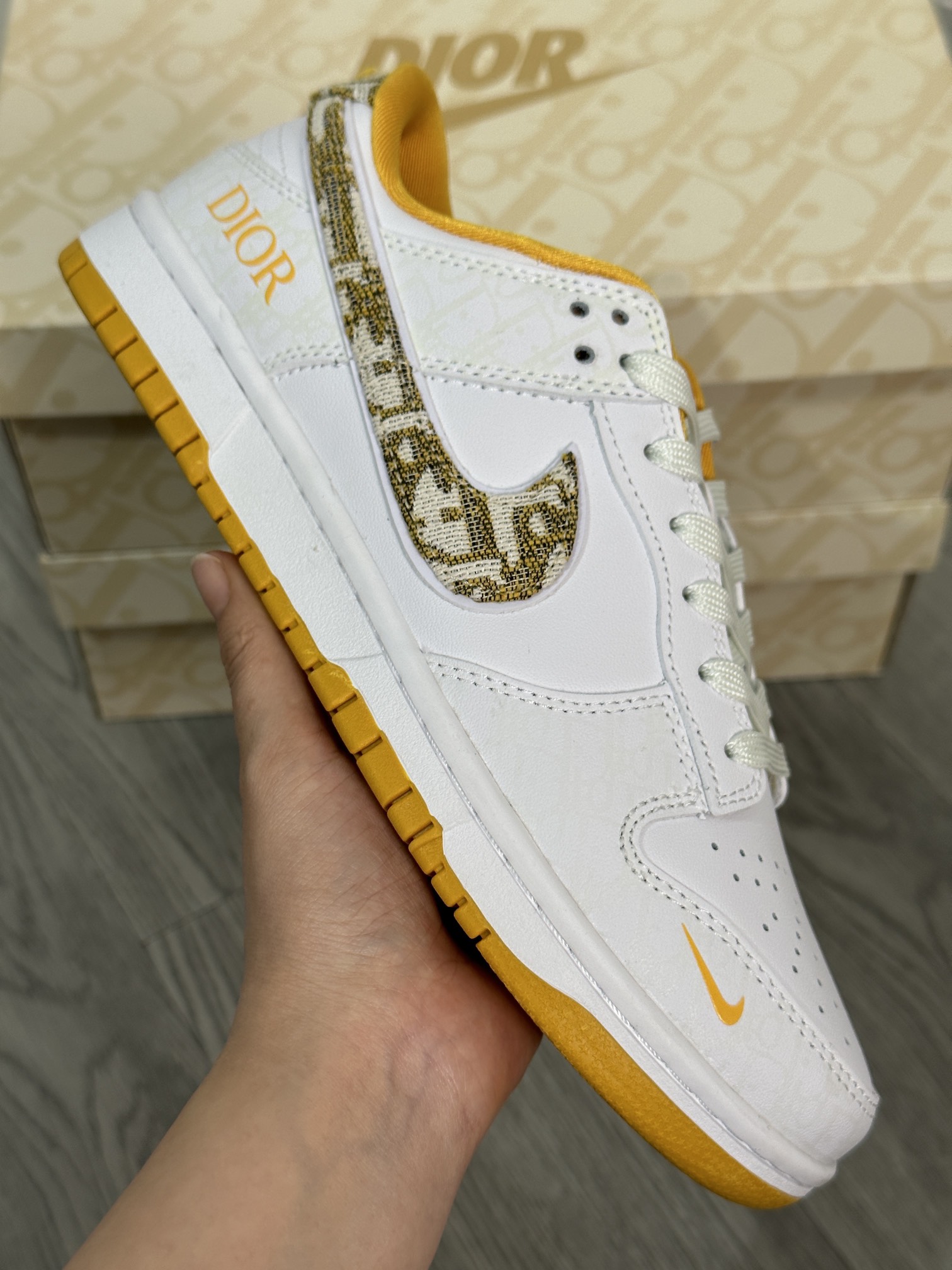 Dior Nike Board Shoes L