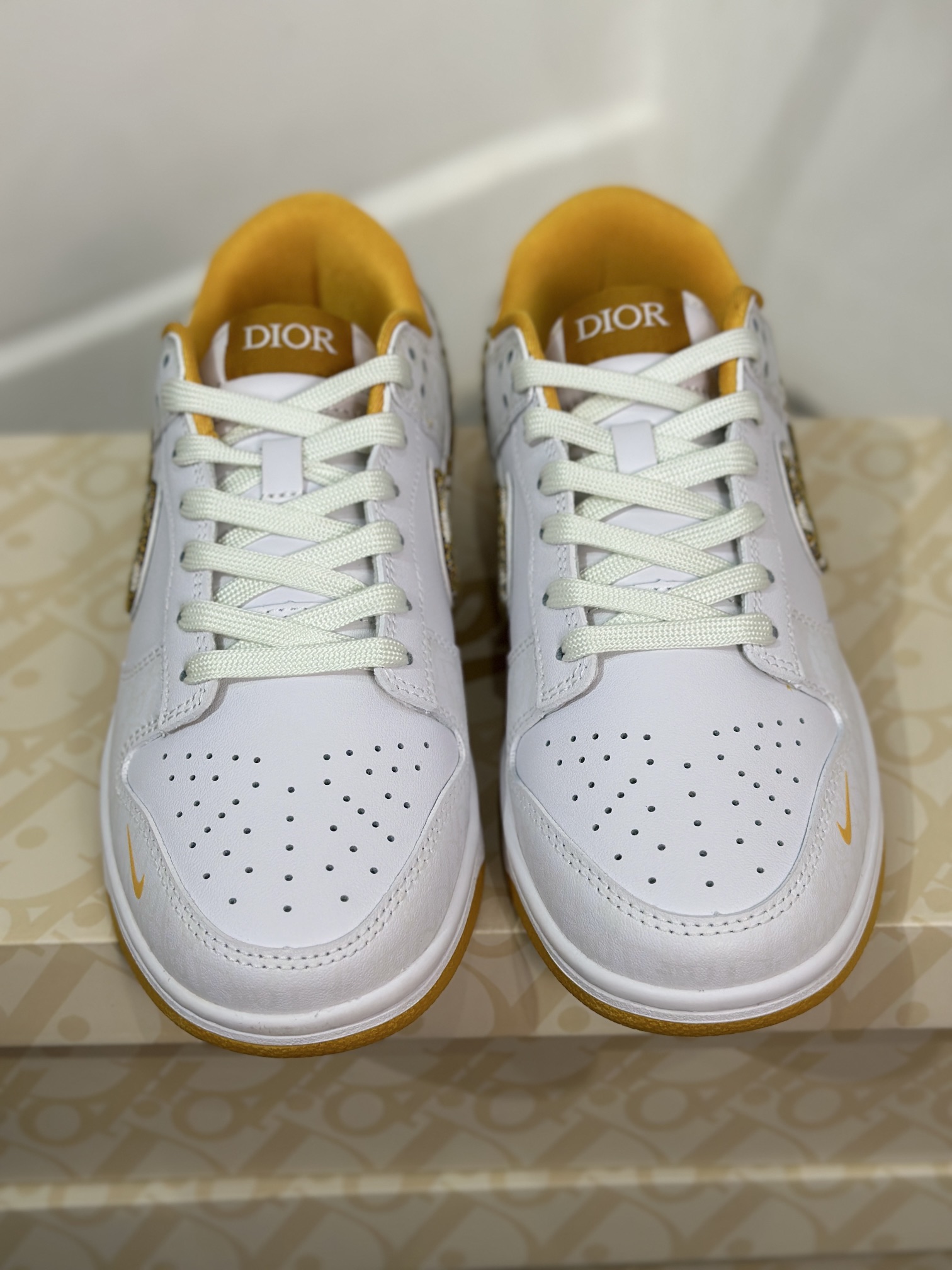 Dior Nike Board Shoes L