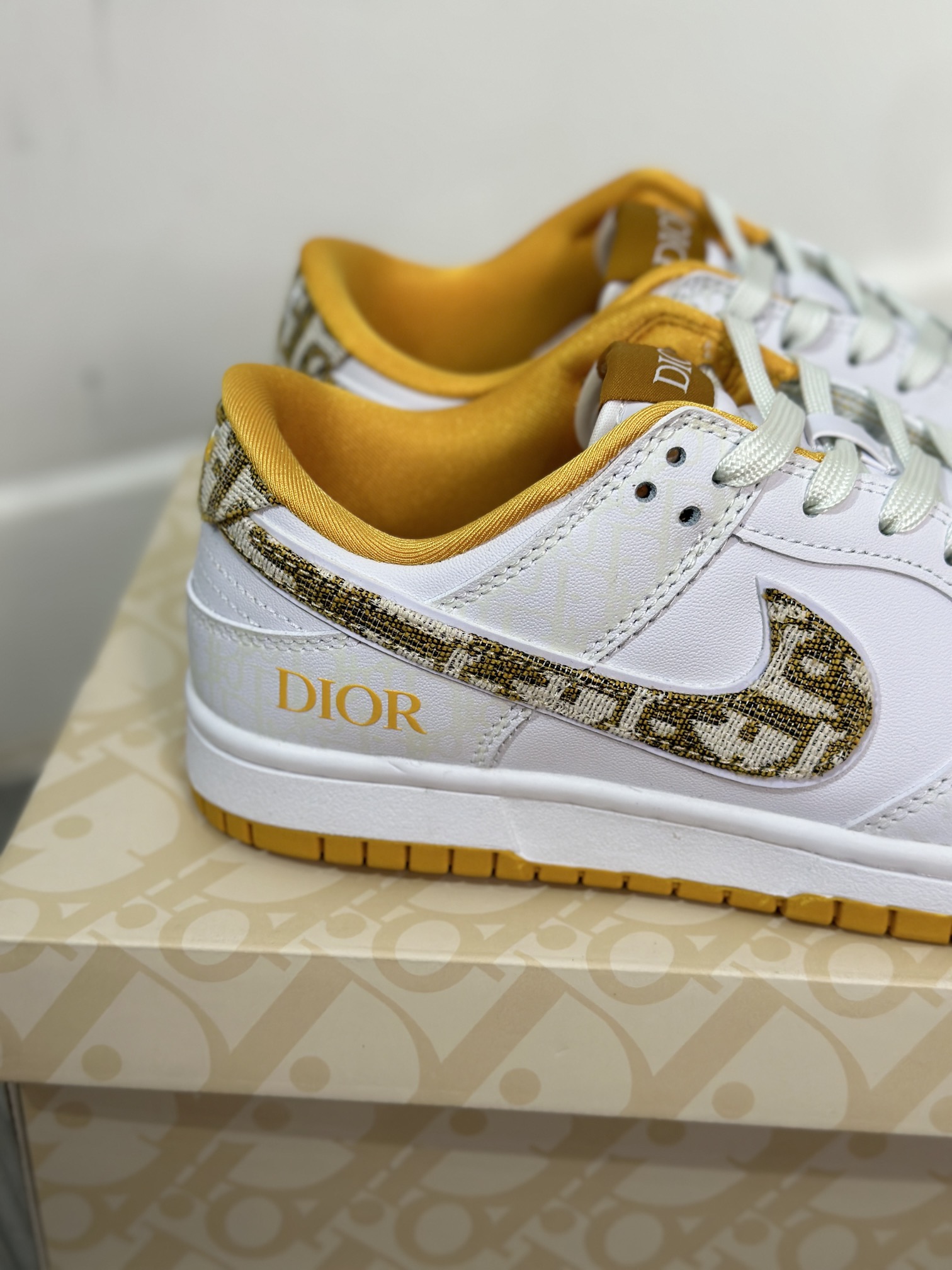 Dior Nike Board Shoes L