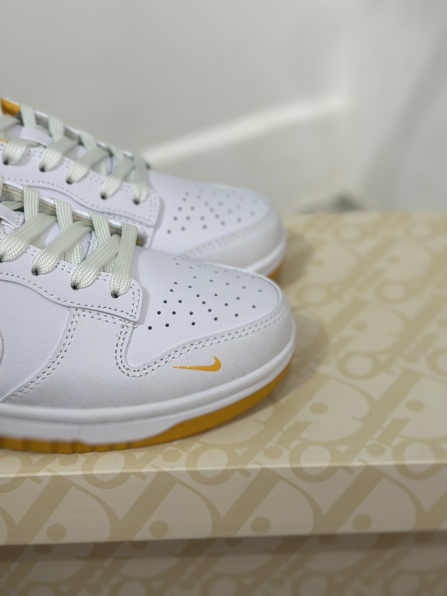 Dior Nike Board Shoes L