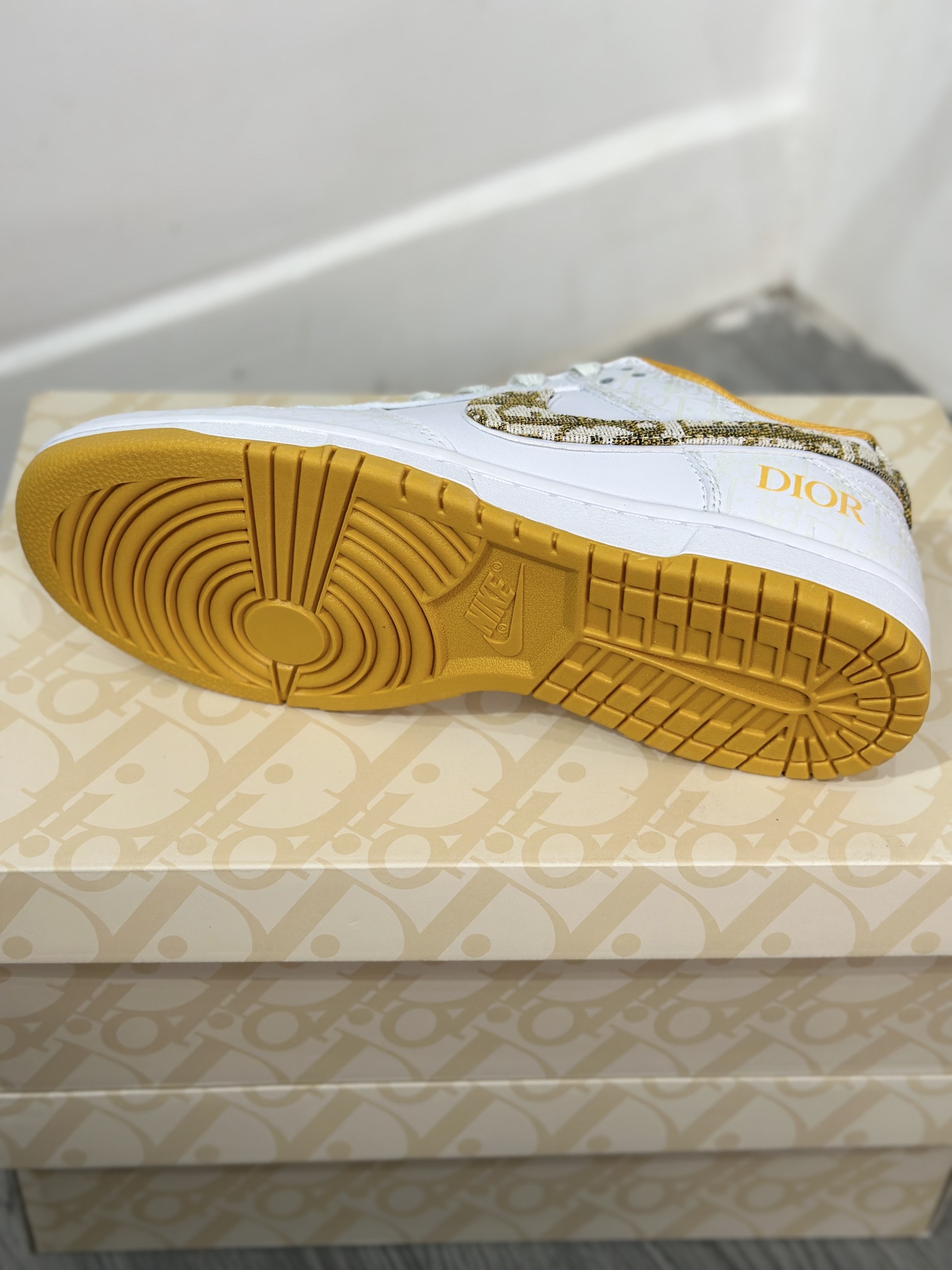 Dior Nike Board Shoes L