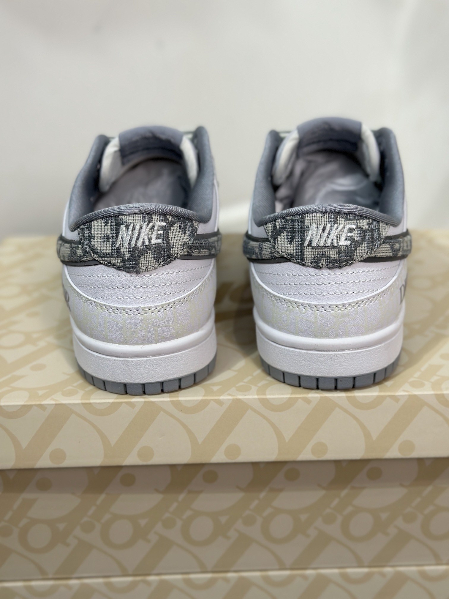 Dior Nike Board Shoes L