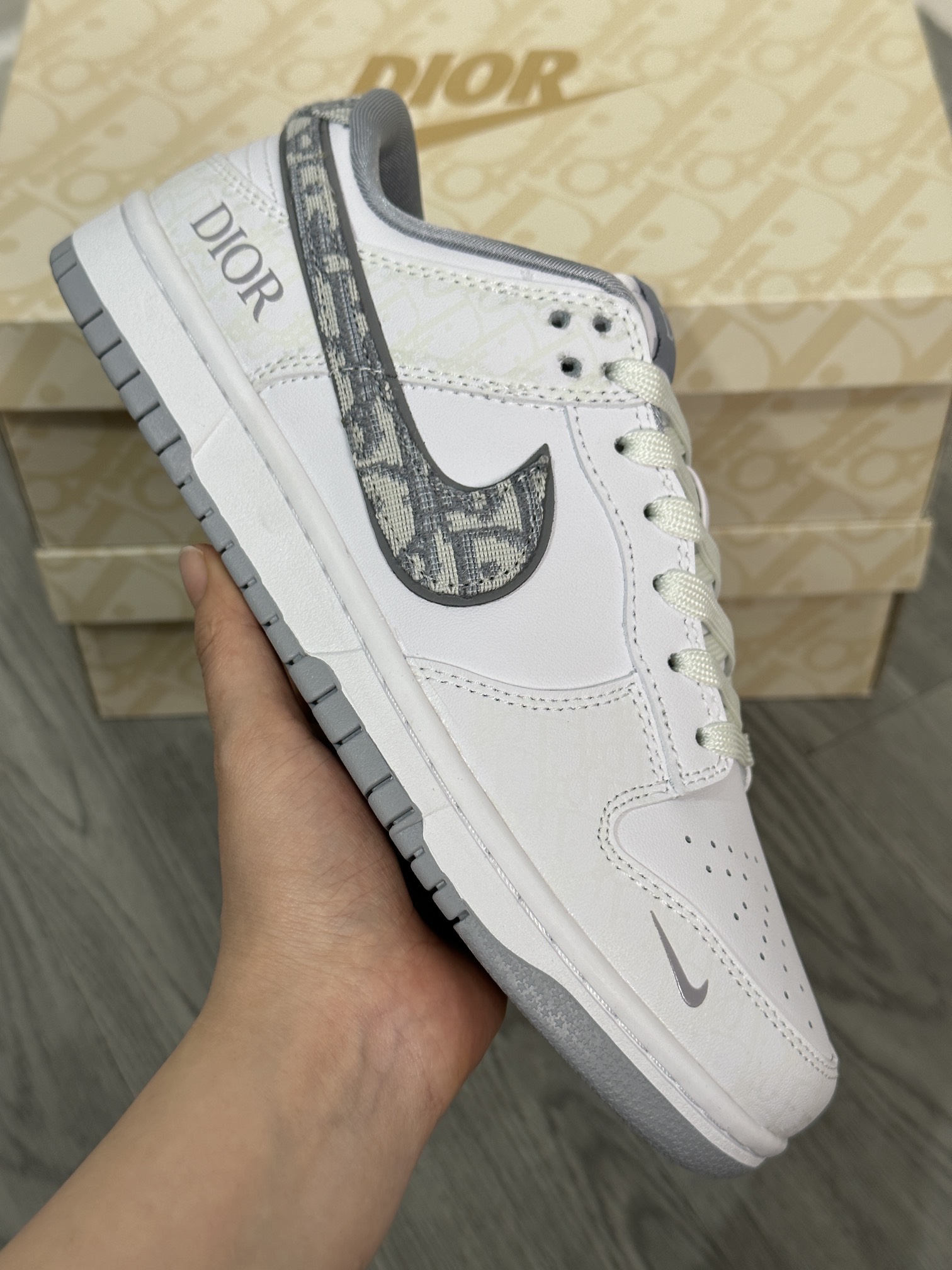 Dior Nike Board Shoes L