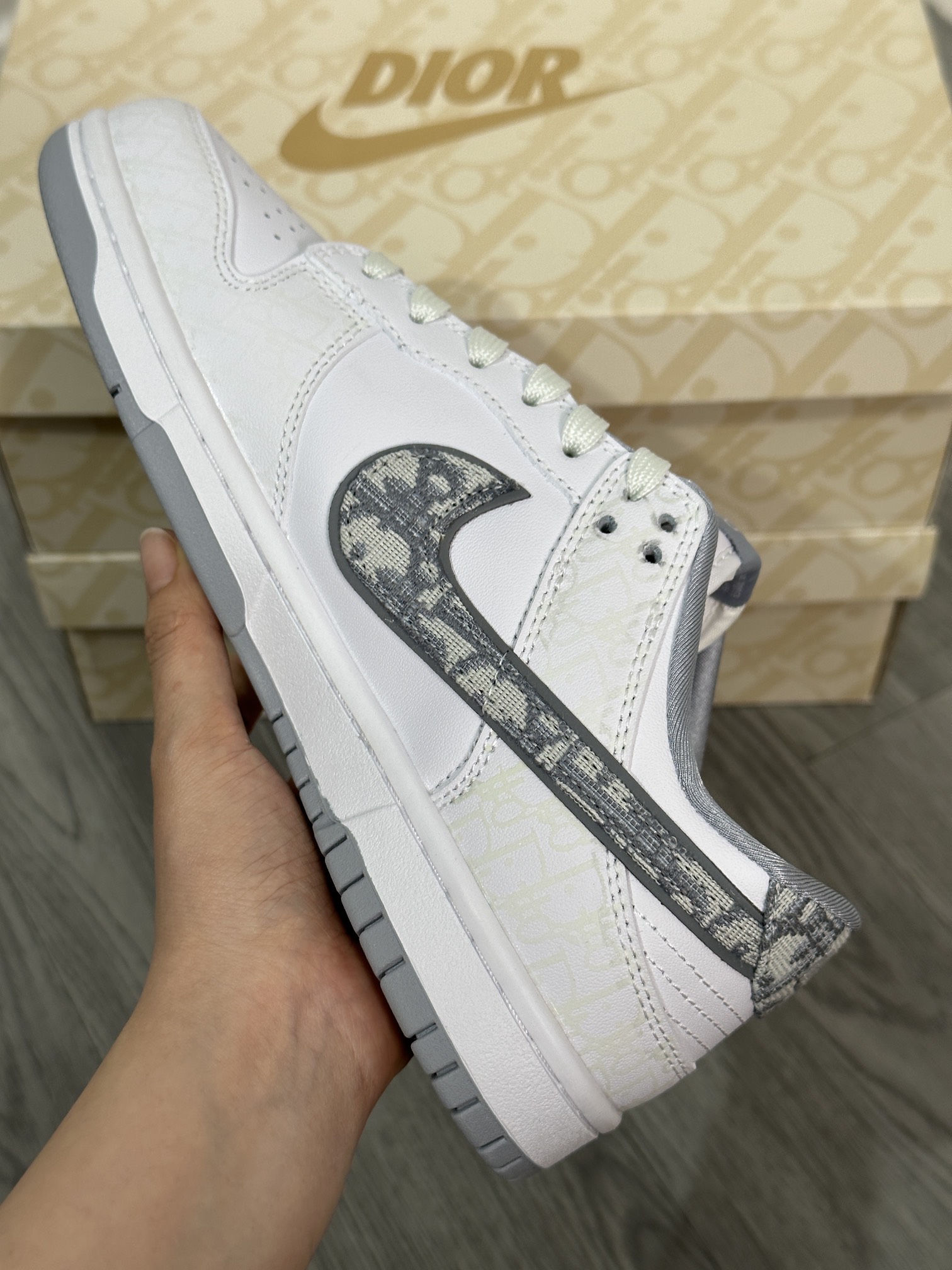 Dior Nike Board Shoes L