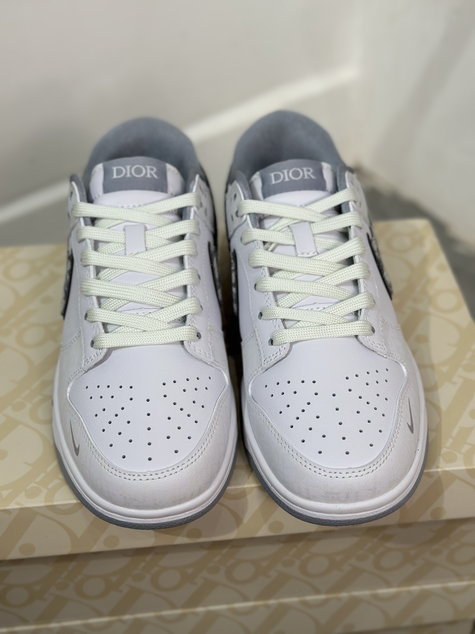 Dior Nike Board Shoes L