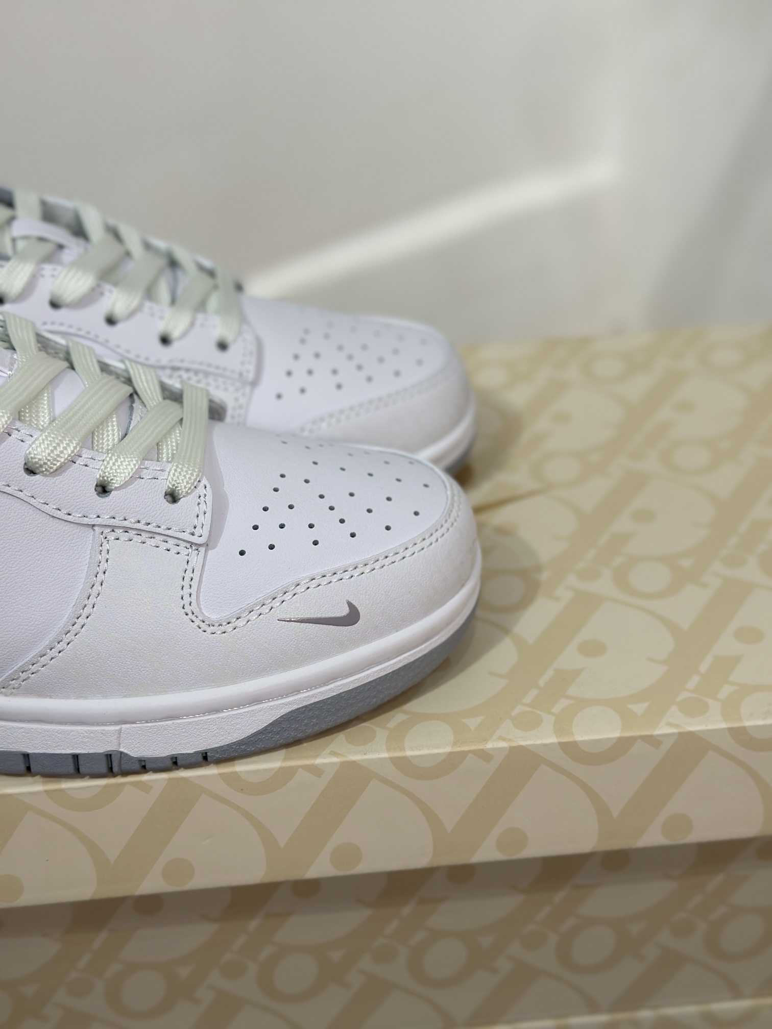 Dior Nike Board Shoes L