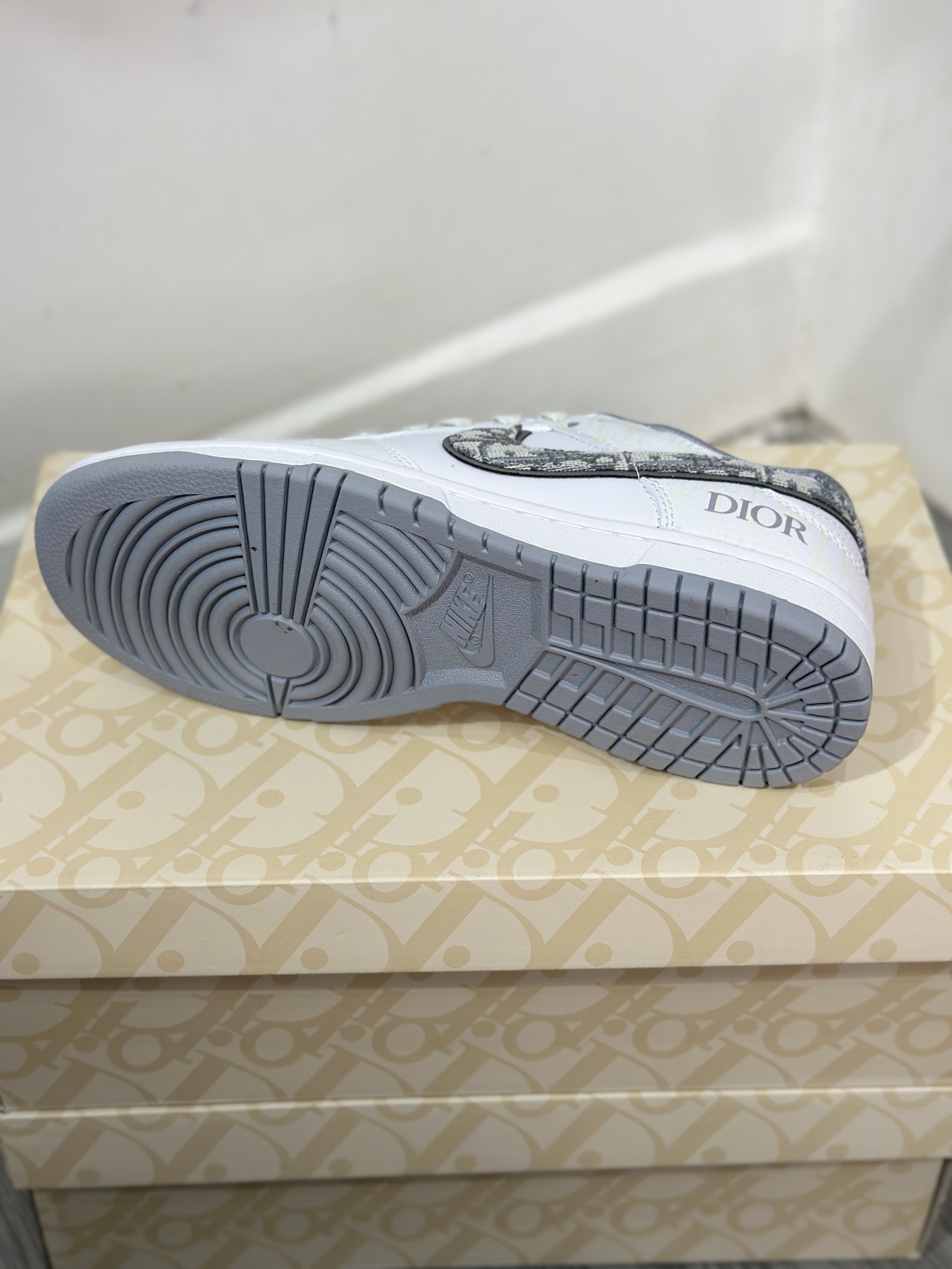 Dior Nike Board Shoes L