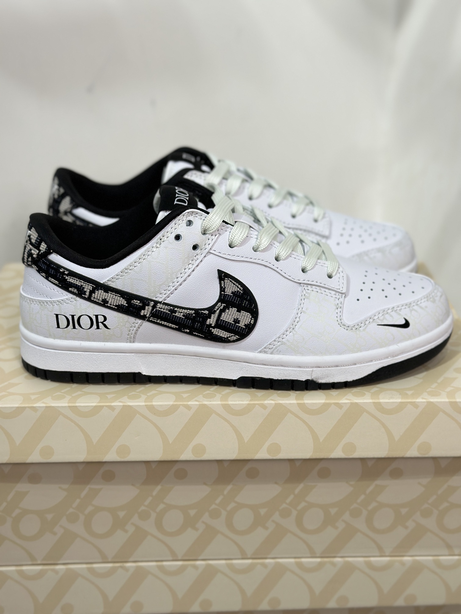 Dior Nike Board Shoes L