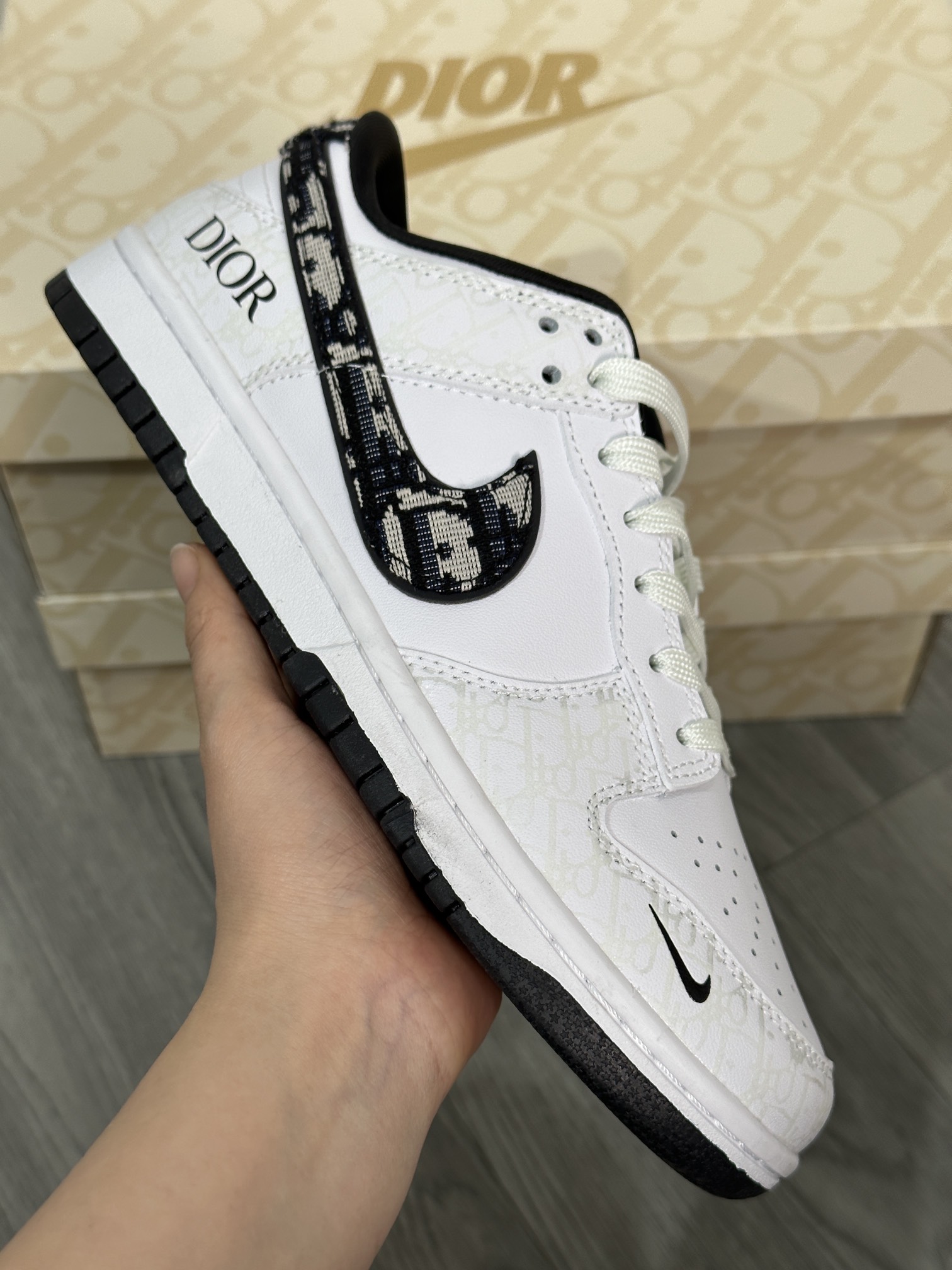 Dior Nike Board Shoes L