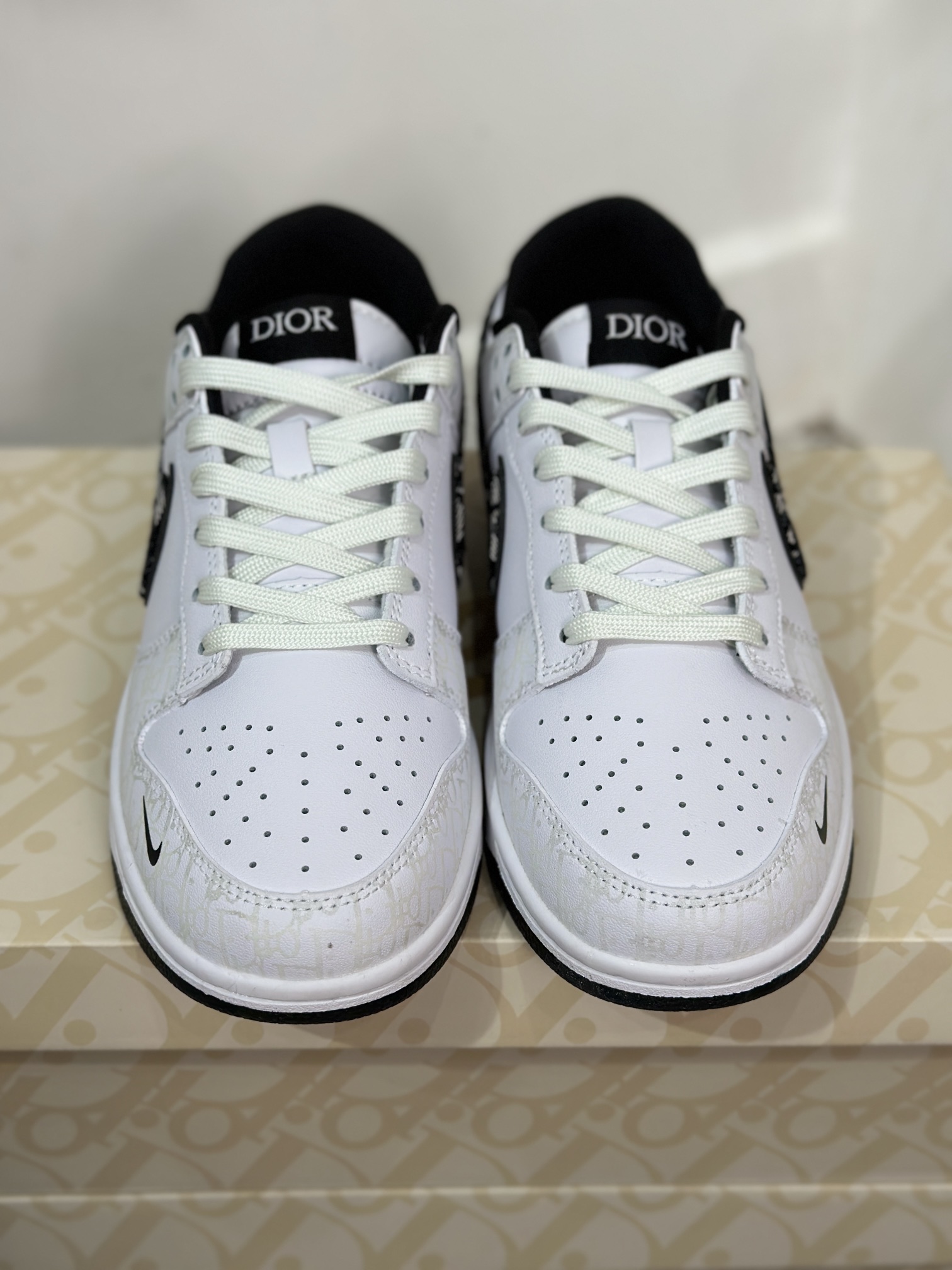 Dior Nike Board Shoes L
