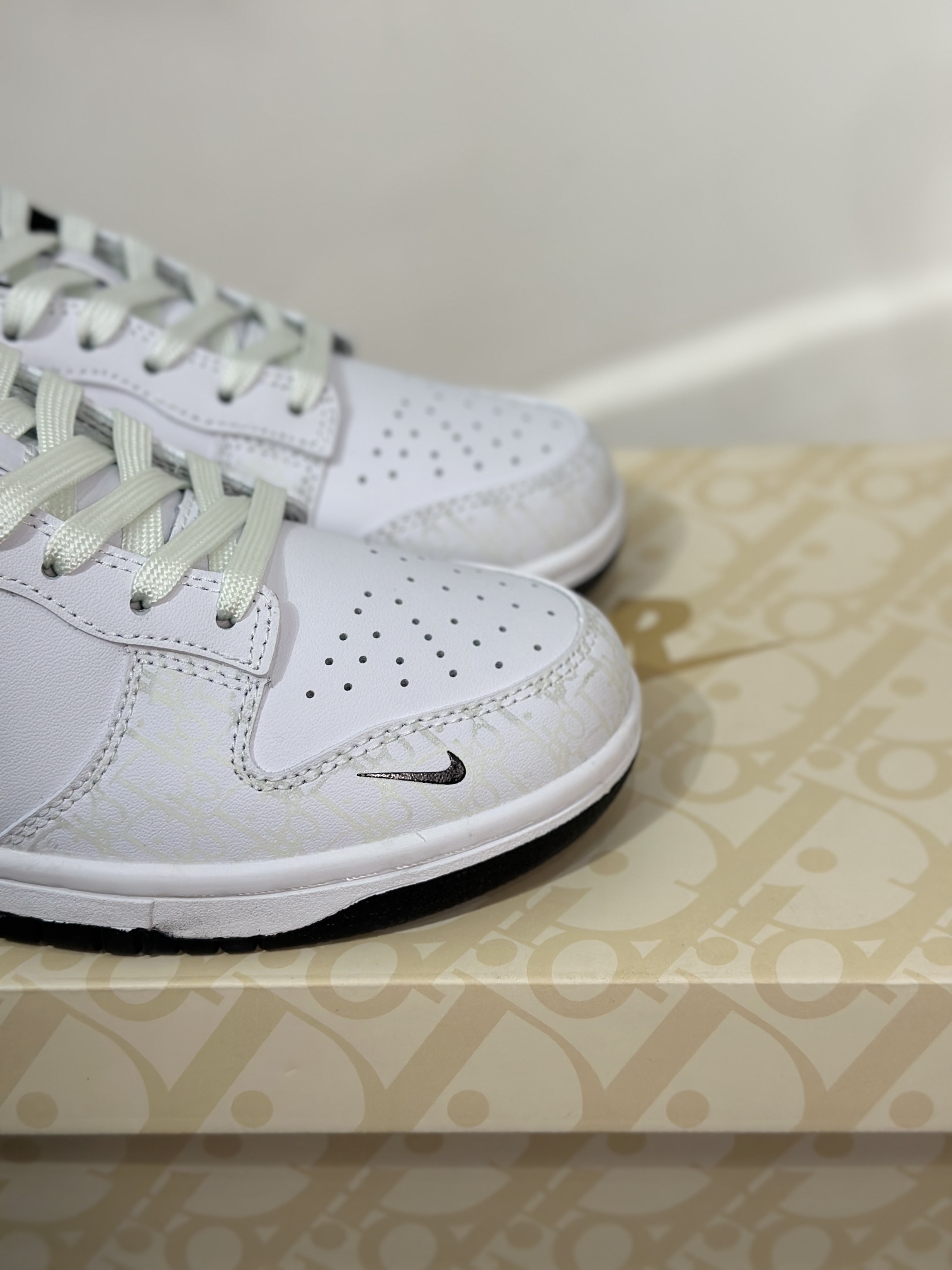 Dior Nike Board Shoes L