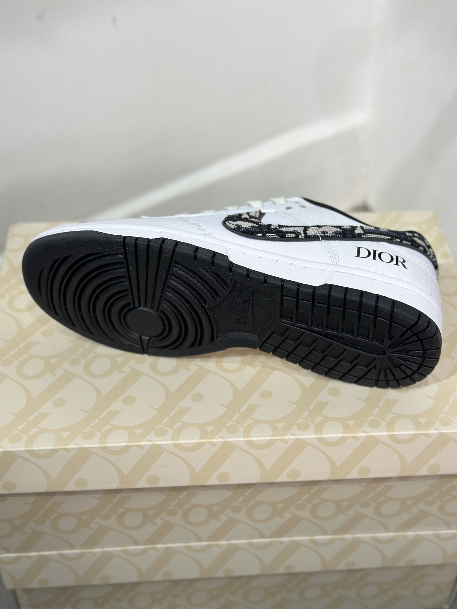 Dior Nike Board Shoes L