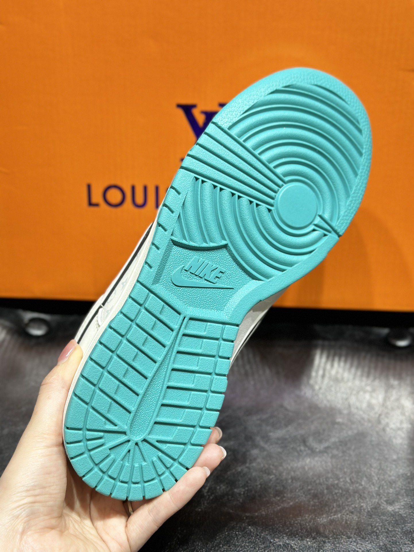 Dior Nike Board Shoes L