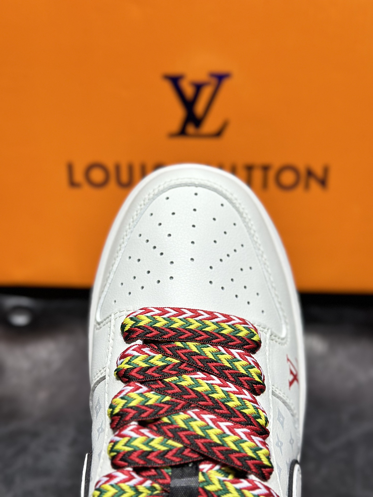 Dior Nike Board Shoes L