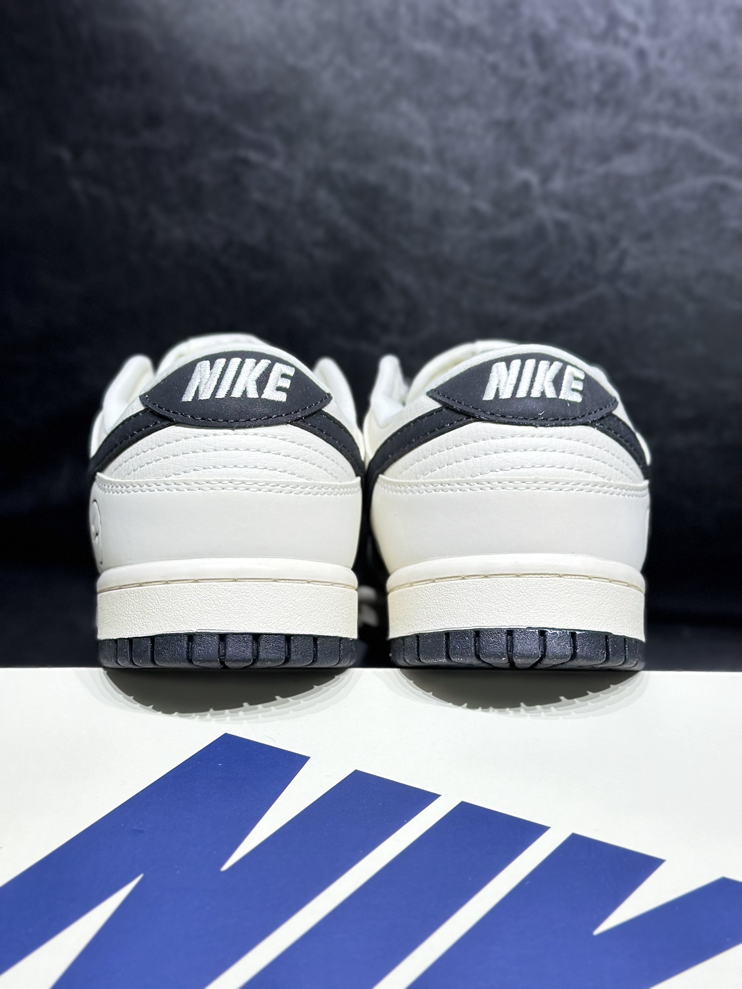 Dior Nike Board Shoes L