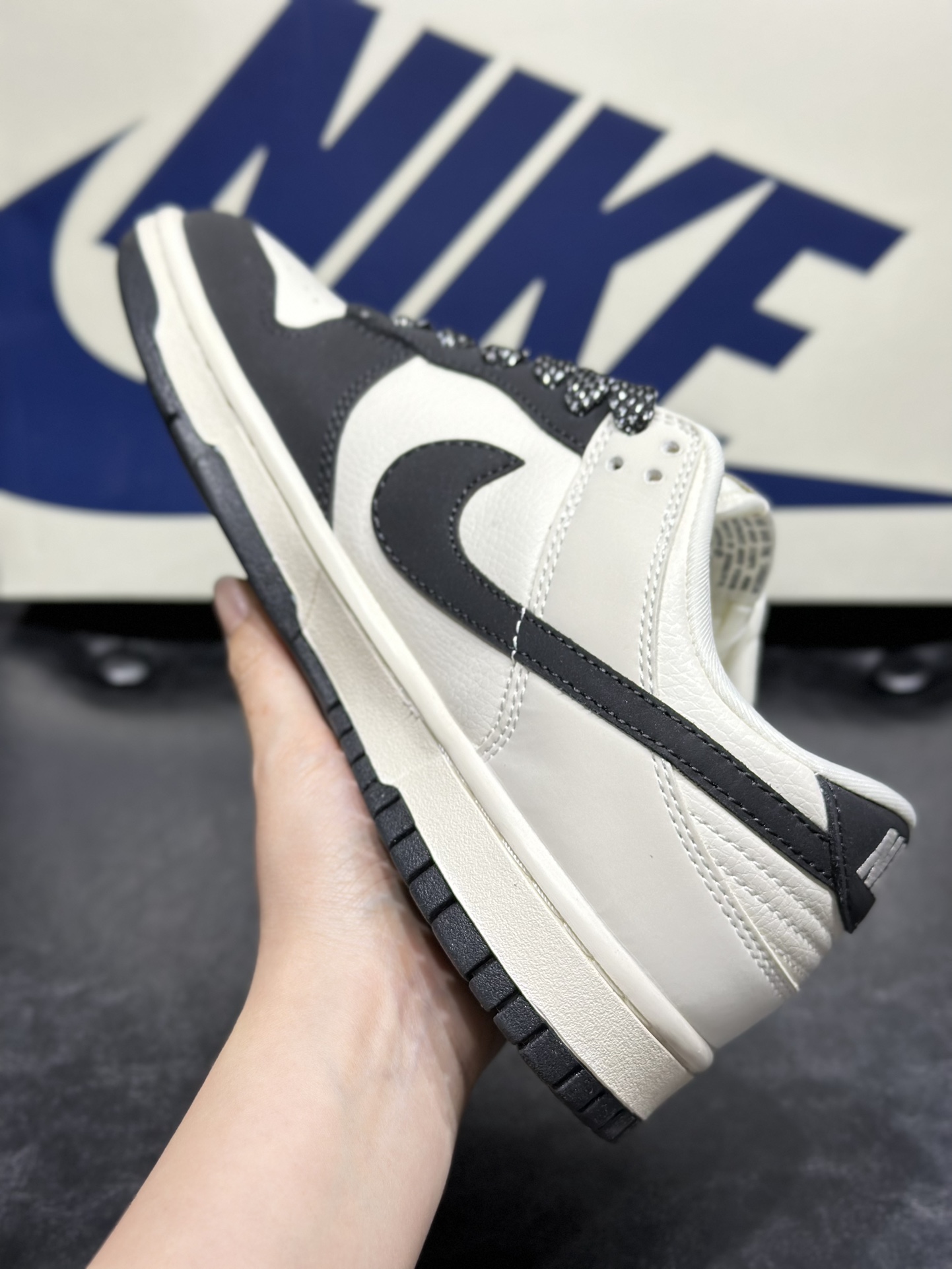 Dior Nike Board Shoes L