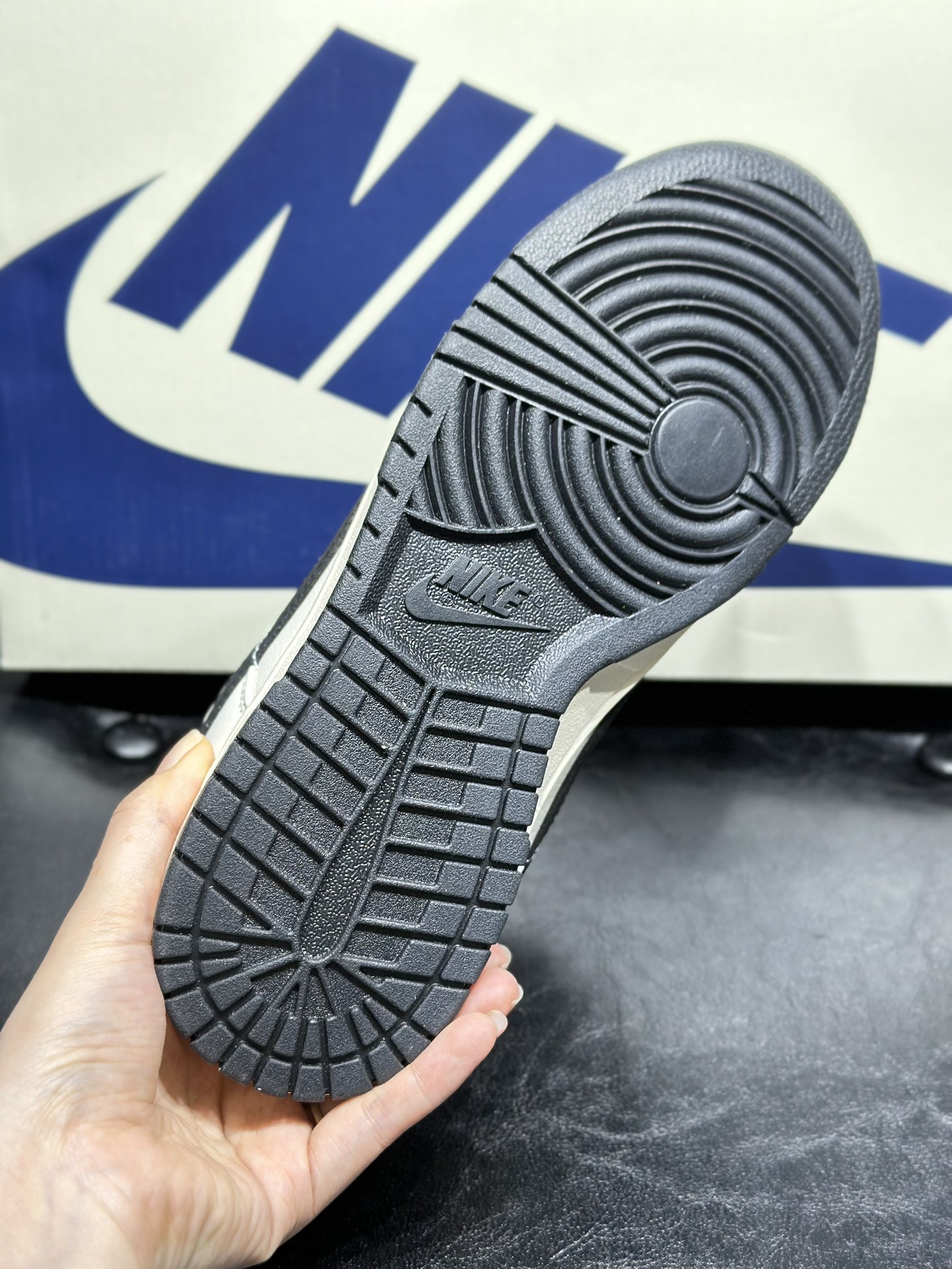 Dior Nike Board Shoes L