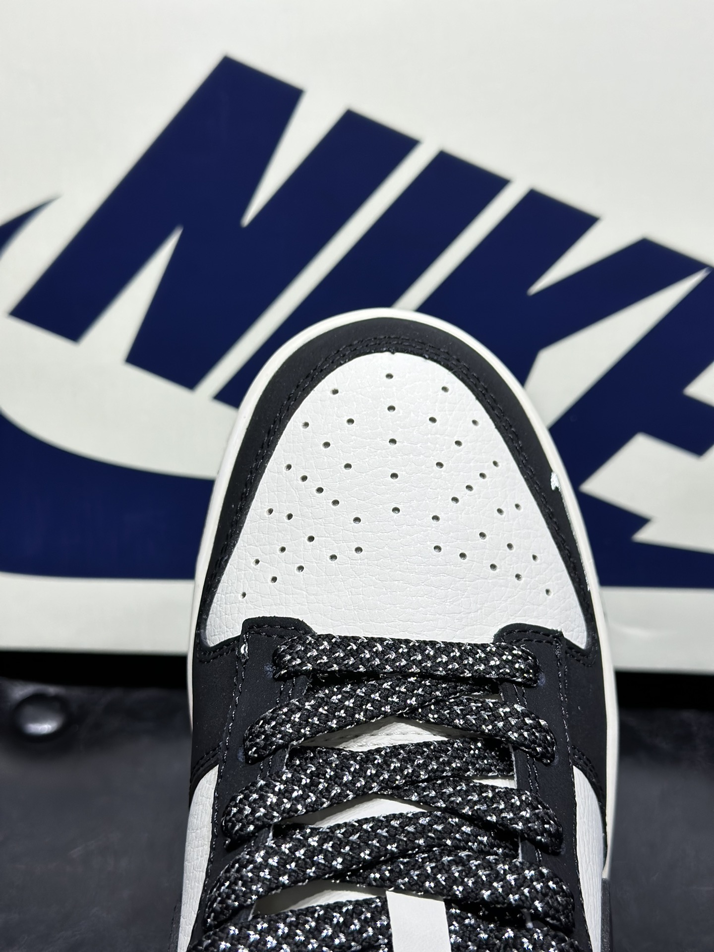 Dior Nike Board Shoes L