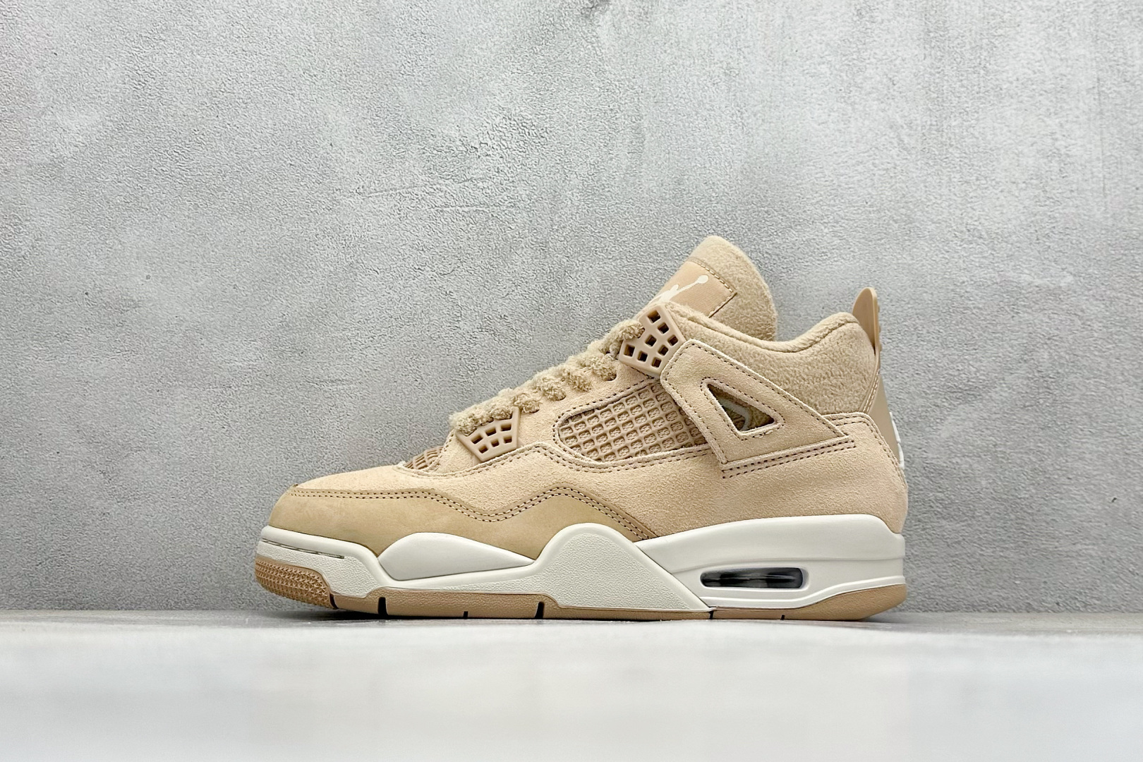 Jordan Nike Basic Shoes