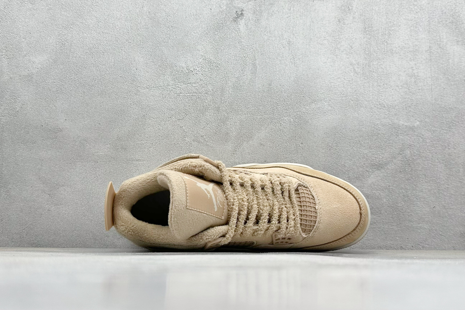 Jordan Nike Basic Shoes